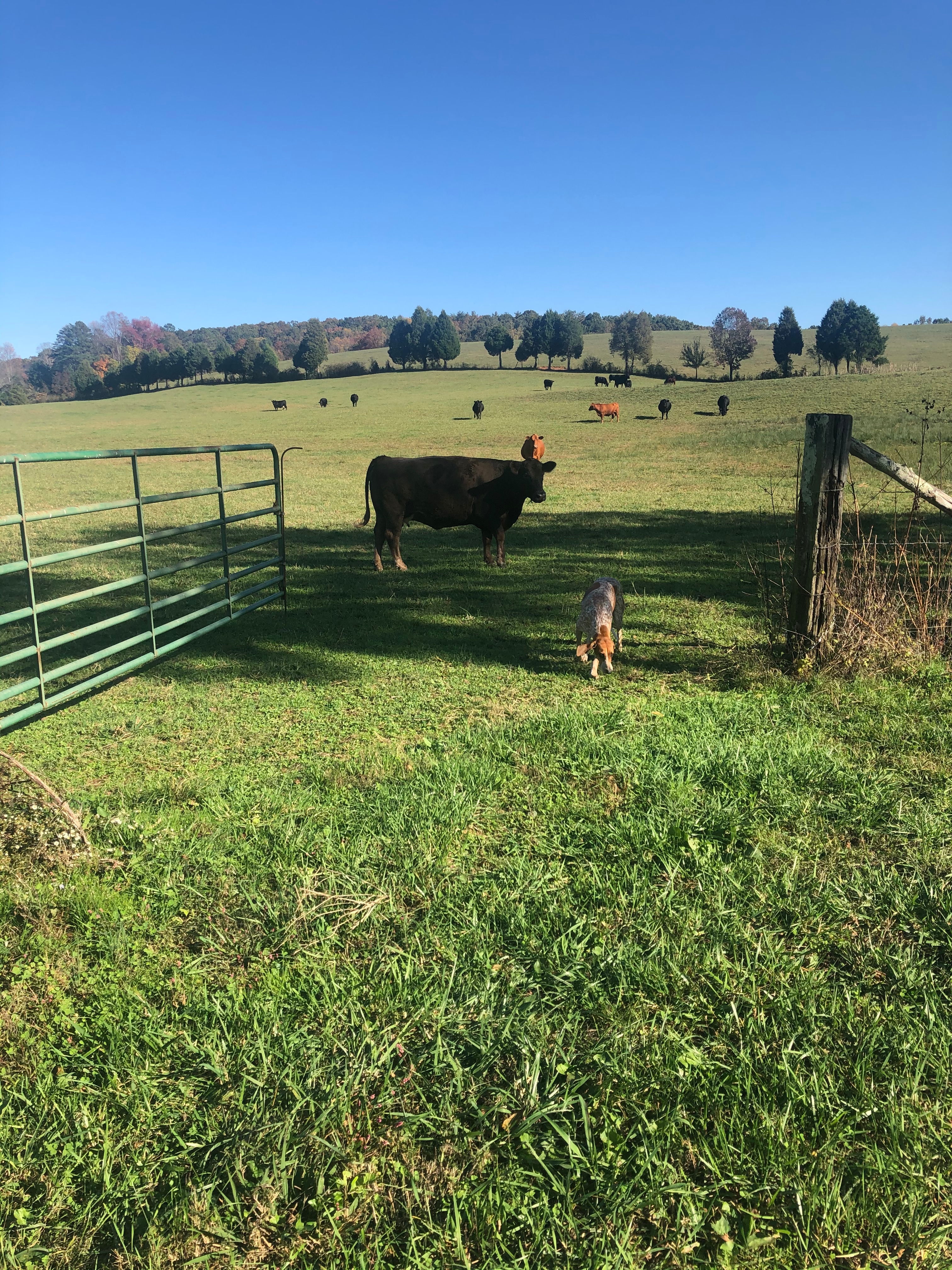 Riverbend Farm Retreat