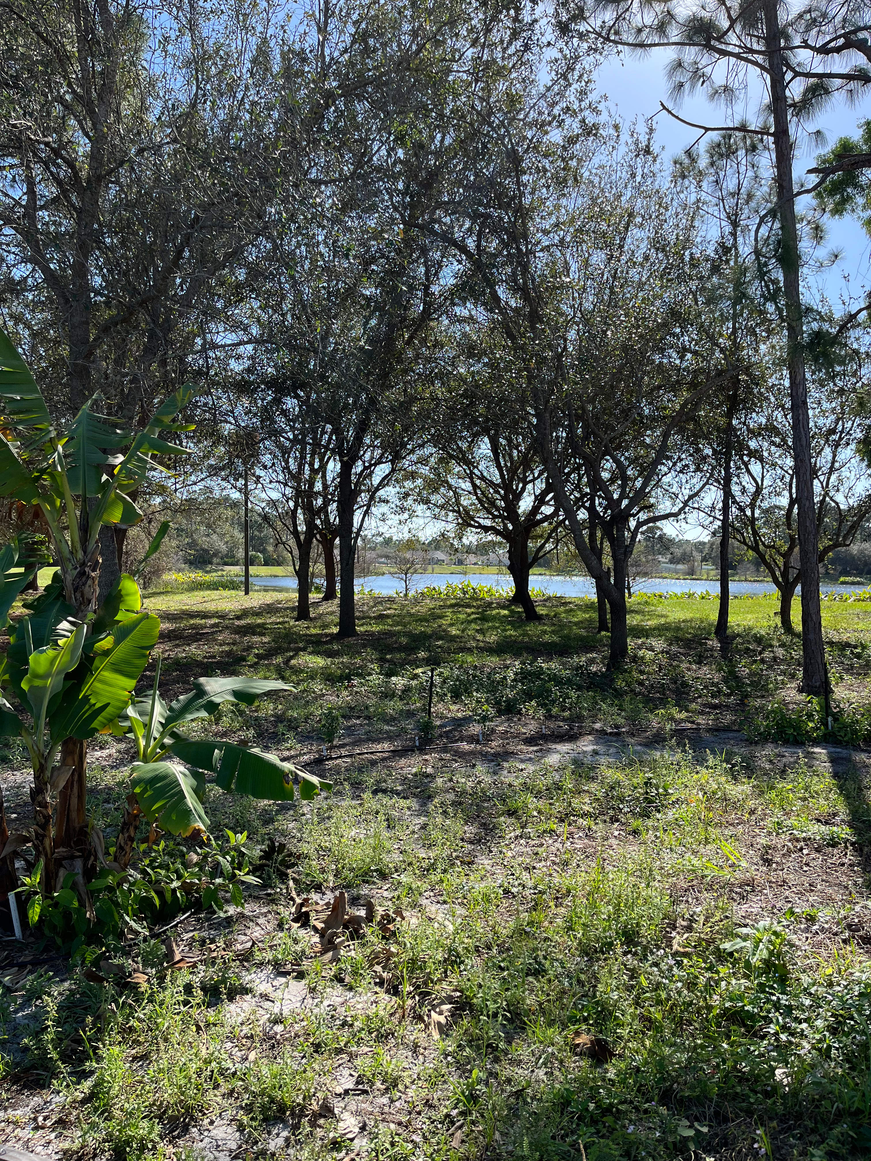 Another view of the natural walking path to the lake 