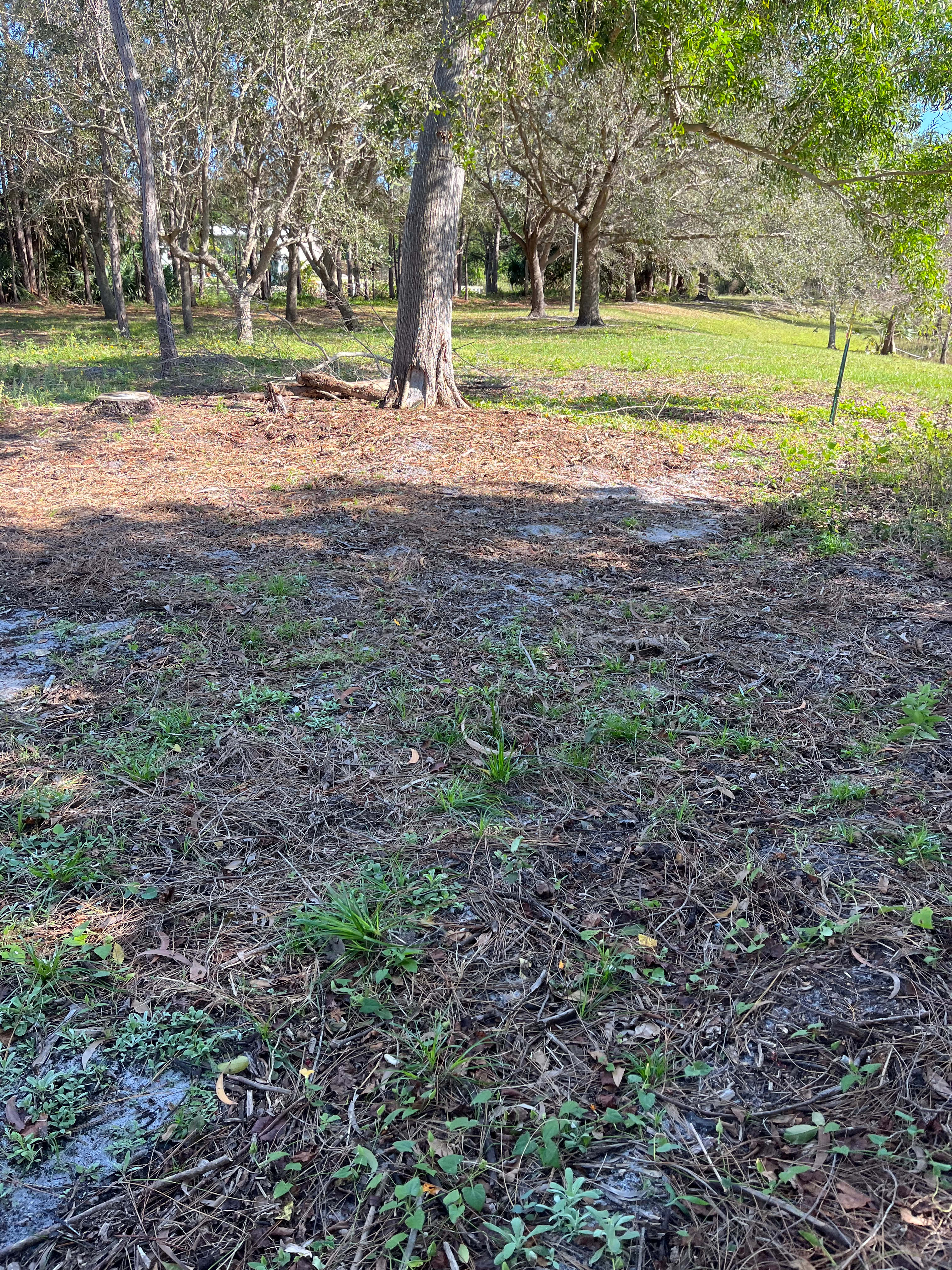 Walking area on the natural path toward the County Lake 
