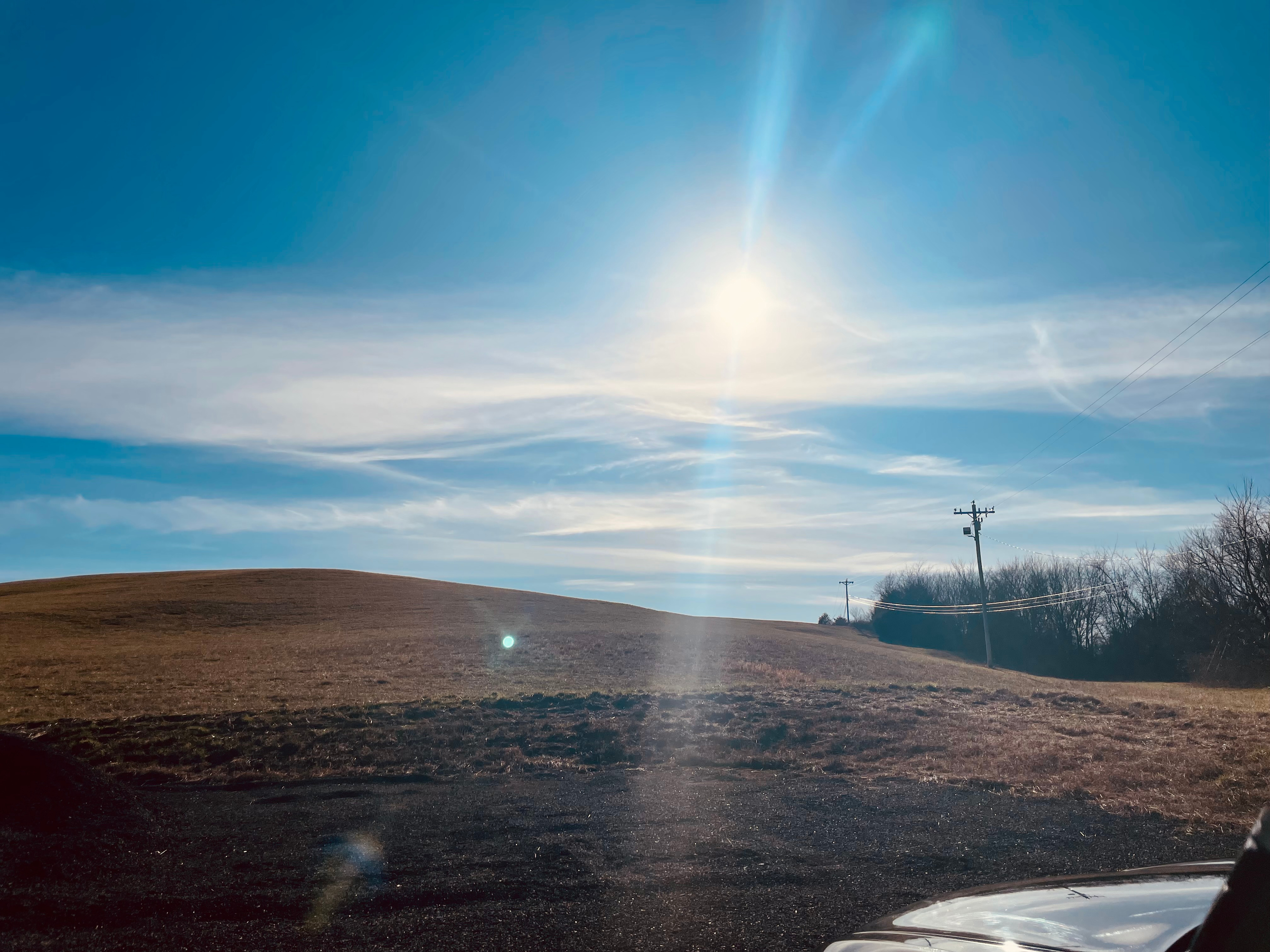 Majestic Beechgrove Battlegrounds✨