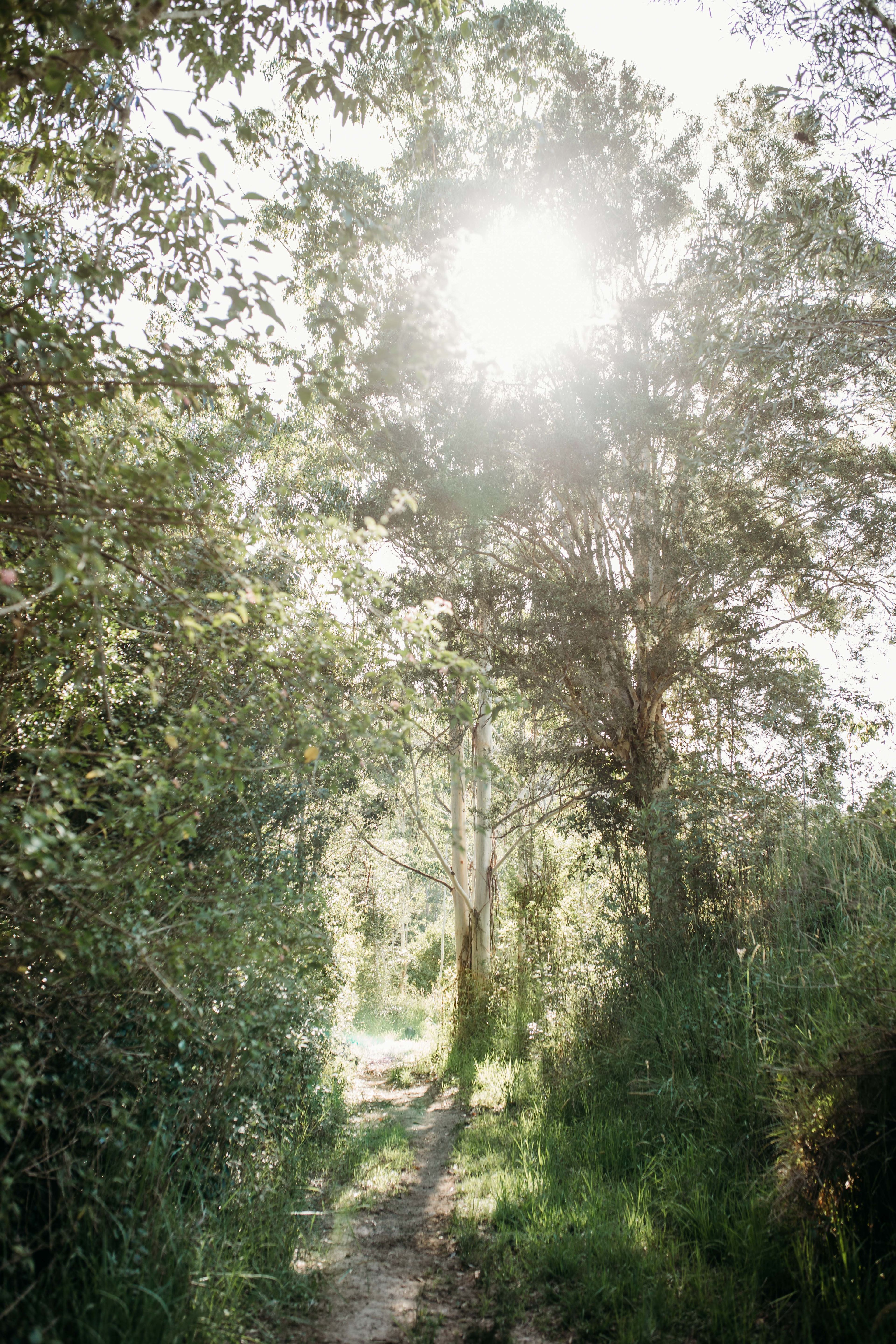 Mimi Valley, Krambach