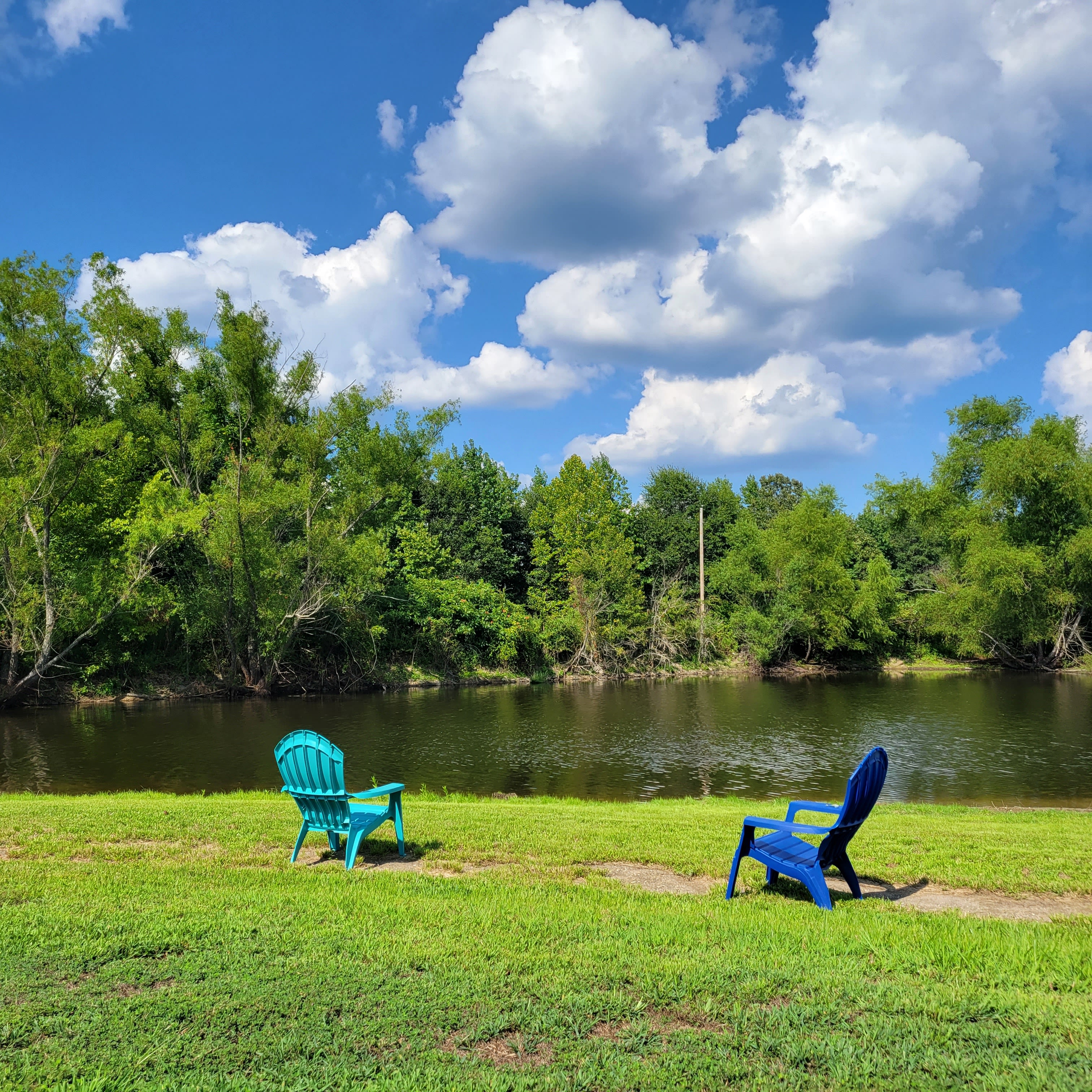 Women's Wellness in the Woods