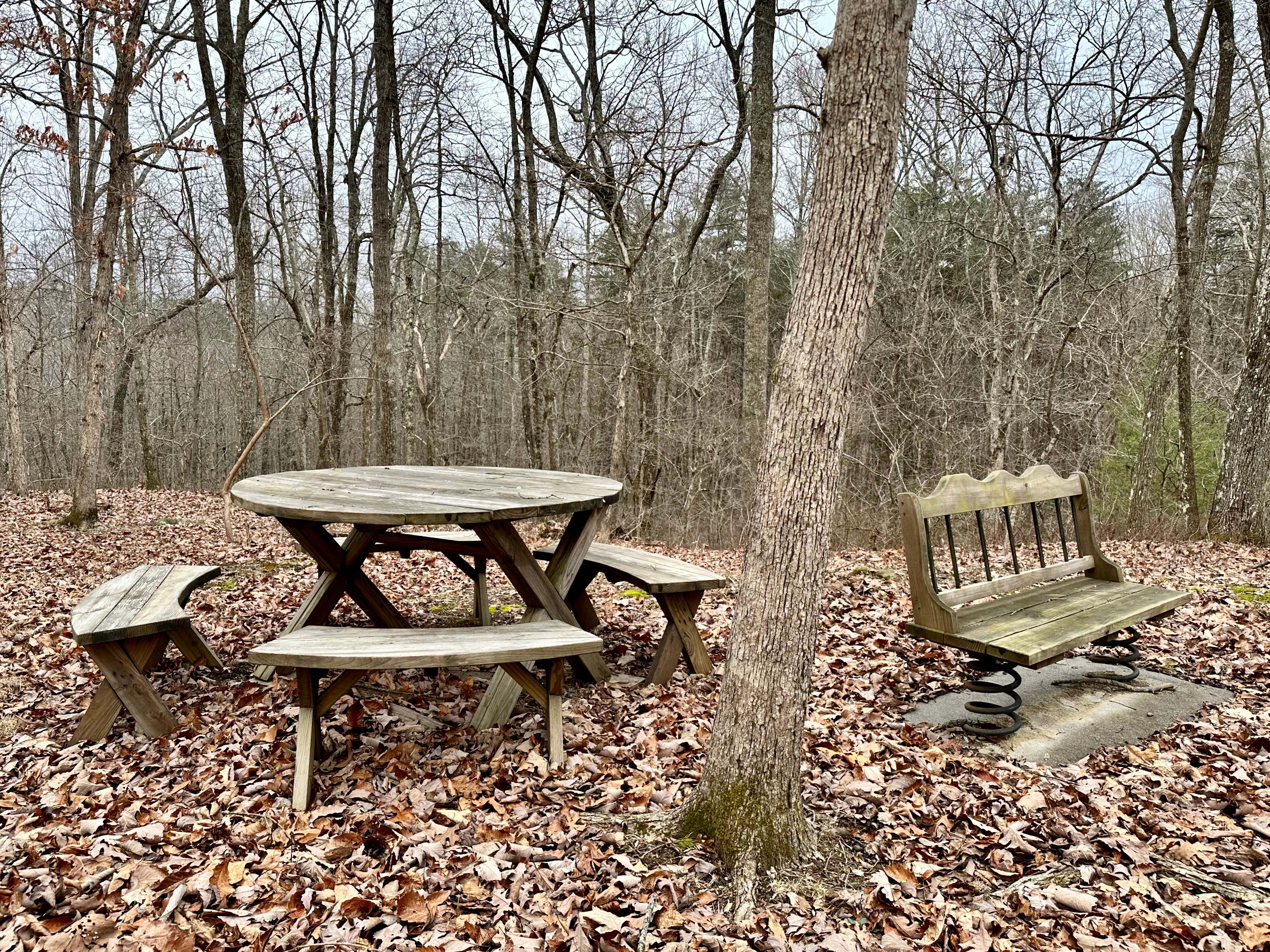 Gravel RV pad w/WiFi, full hookups (30 amp electric, septic, city water), trash bins, picnic table, fire pit, deck, and 8 acres to explore