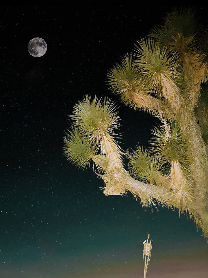 Magic in the Mohave