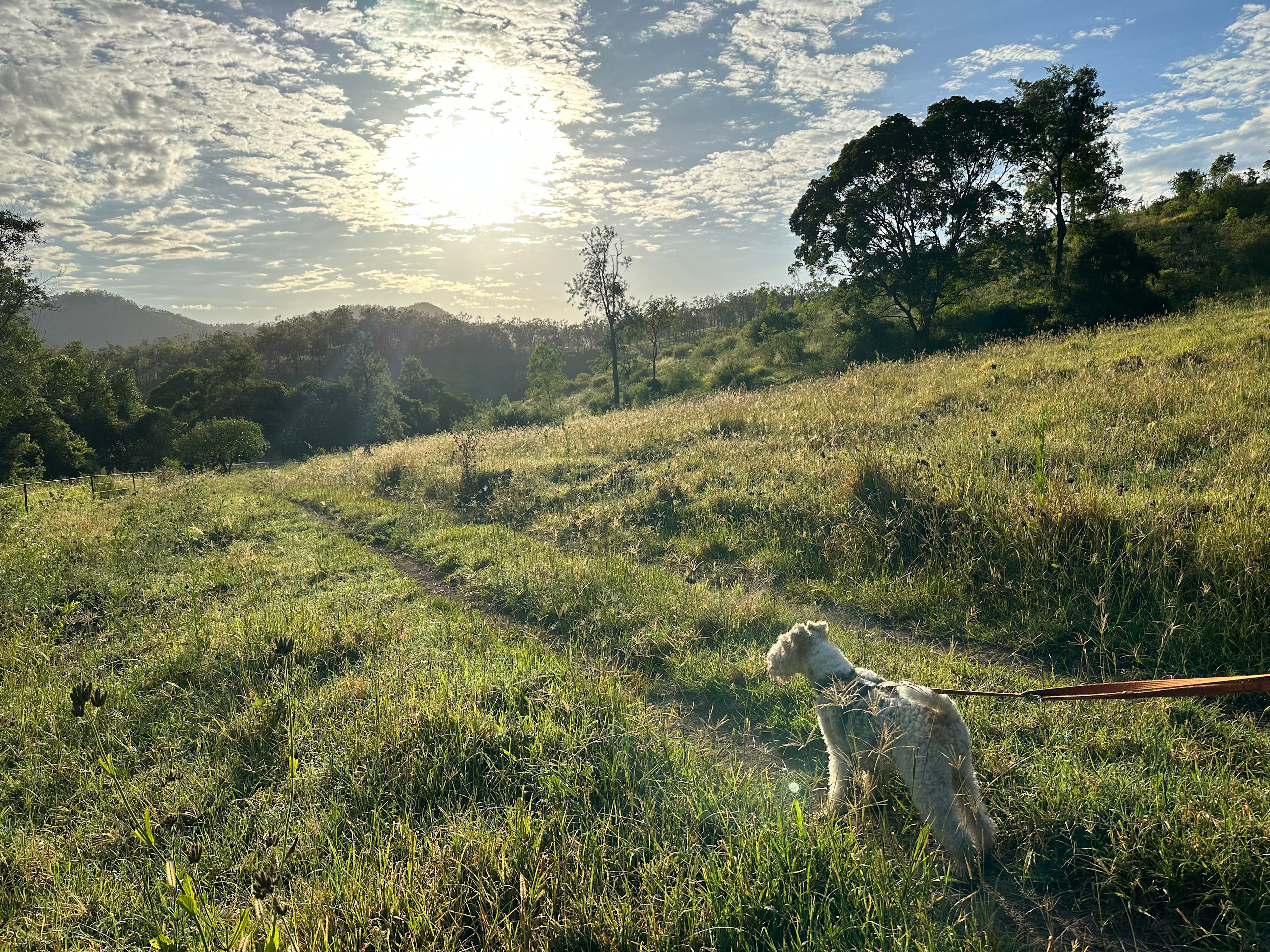 Hopevale Adventure Camping