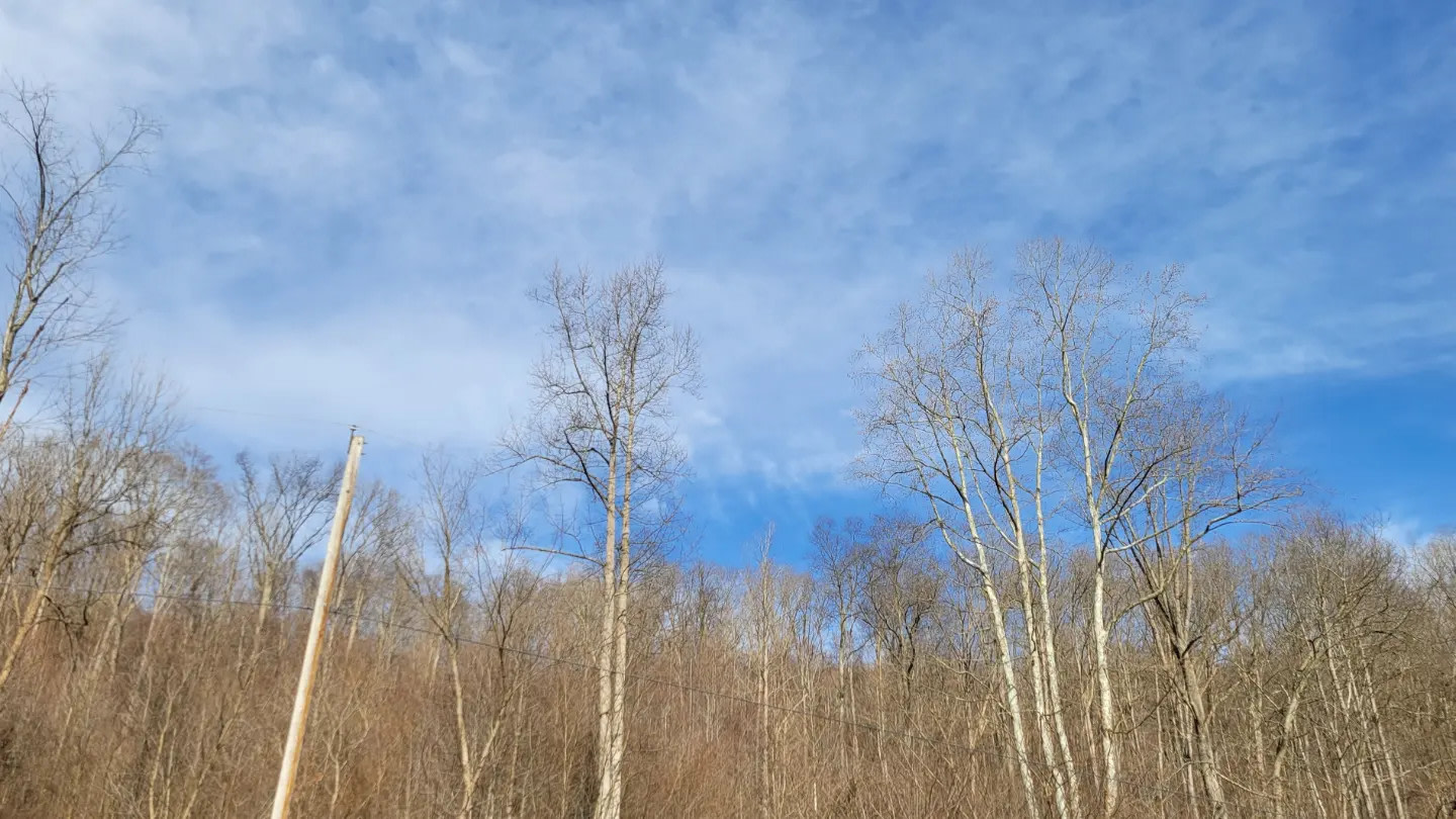 Camp Creek