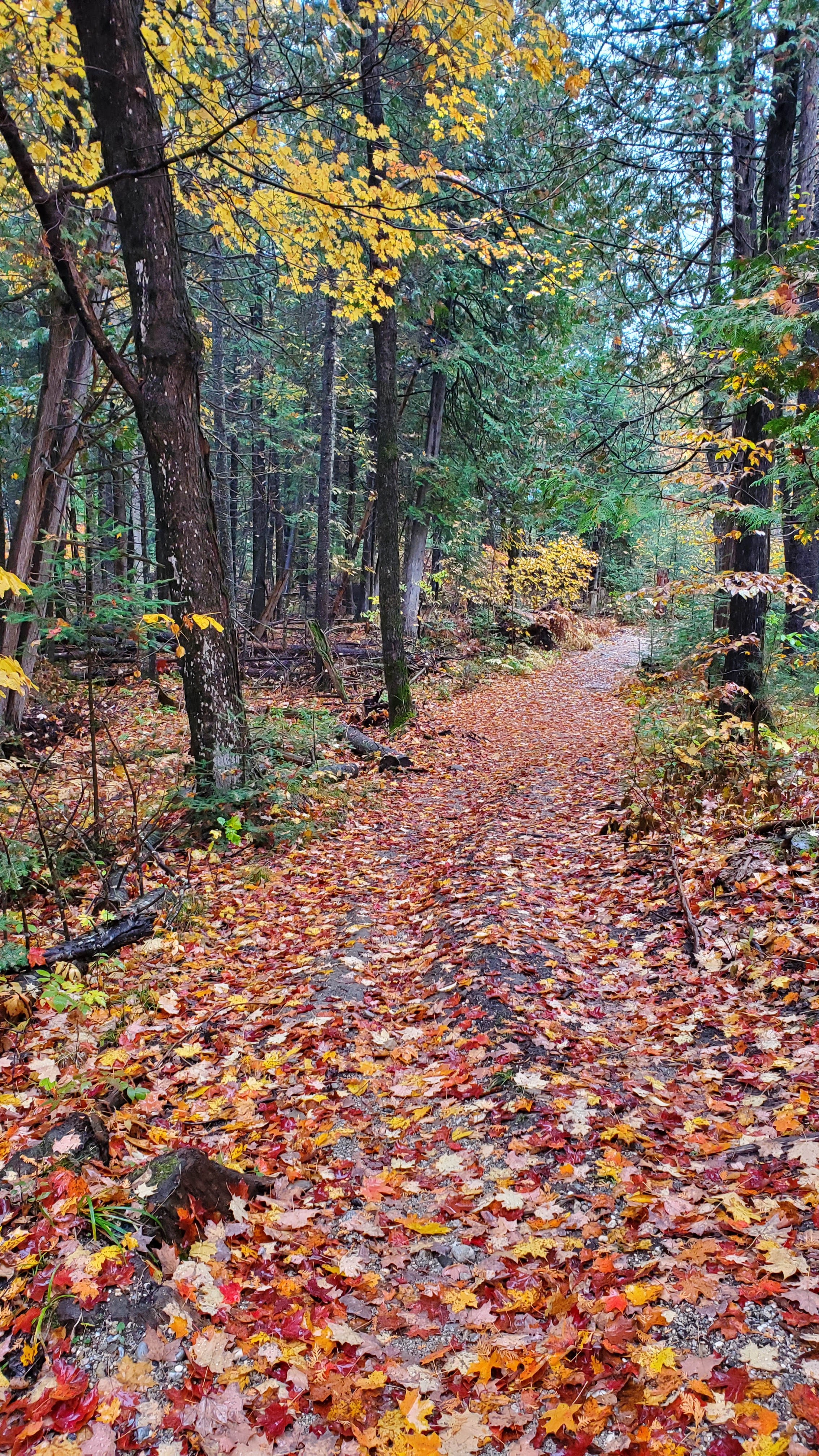 Jacobs Landing, Lanark Highlands