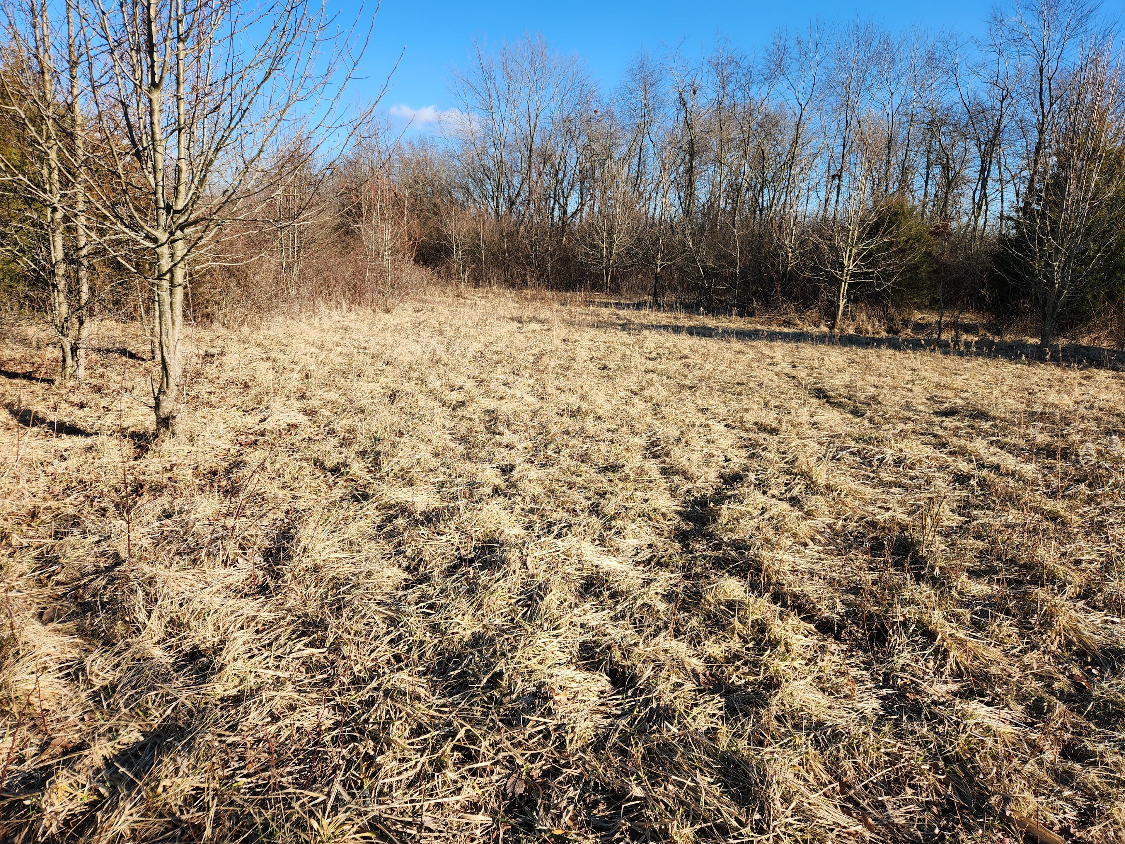 Bird Watch at Pine Lake