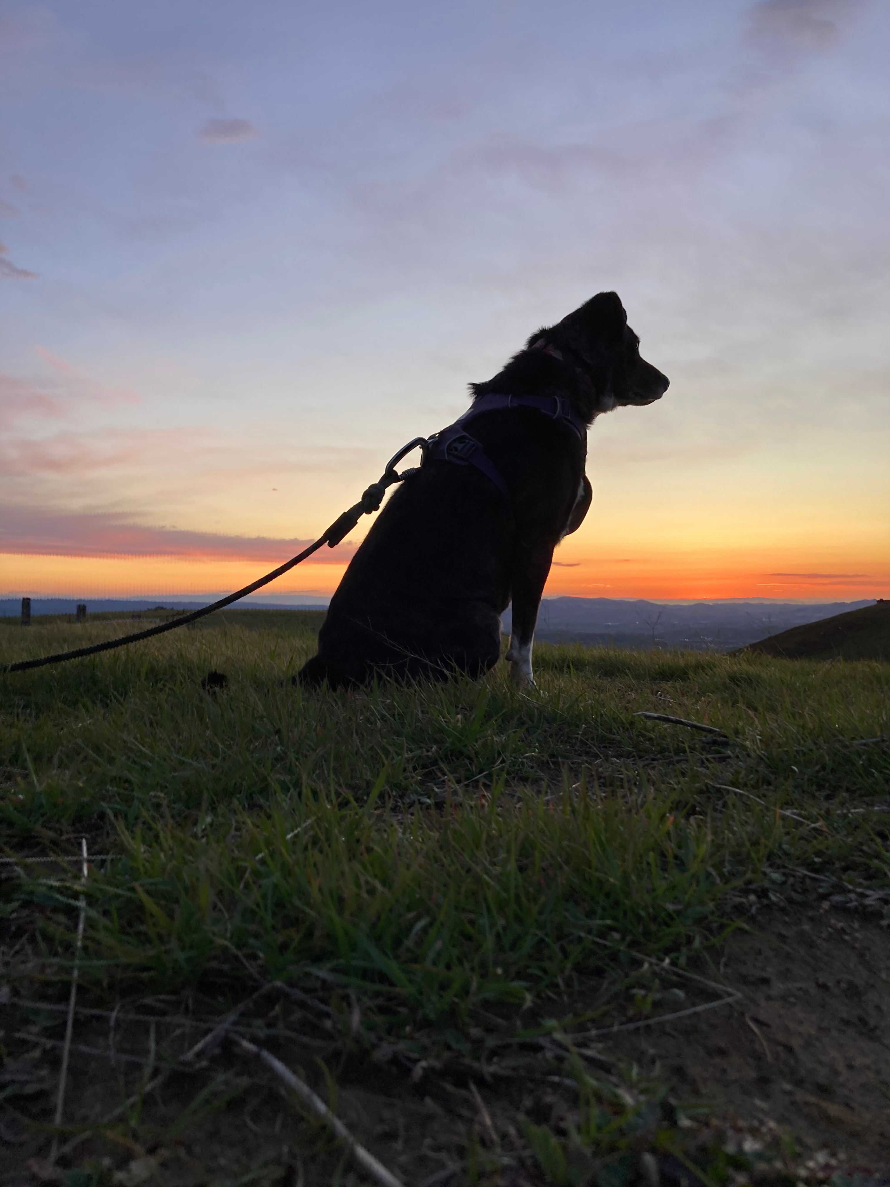 Beautiful Sunrise & Sunset RV