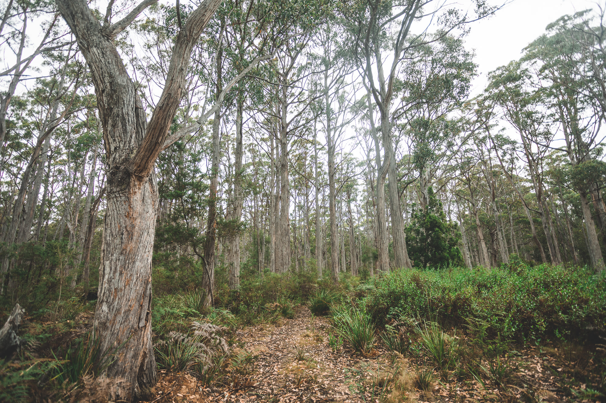 3 Creeks Farm Private Campsite
