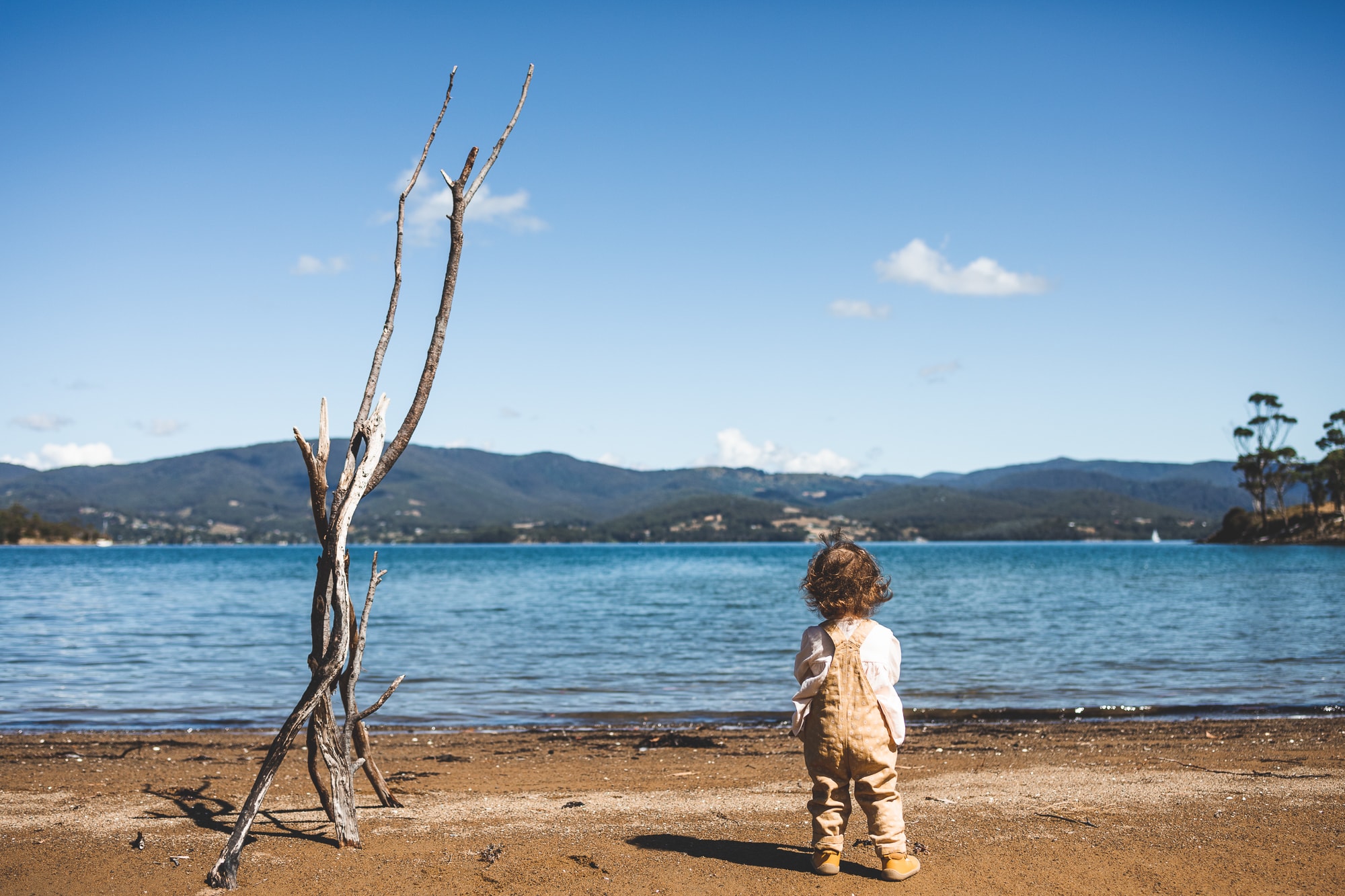 Quoll Hideaway - Bruny Island Bush & Beach camping