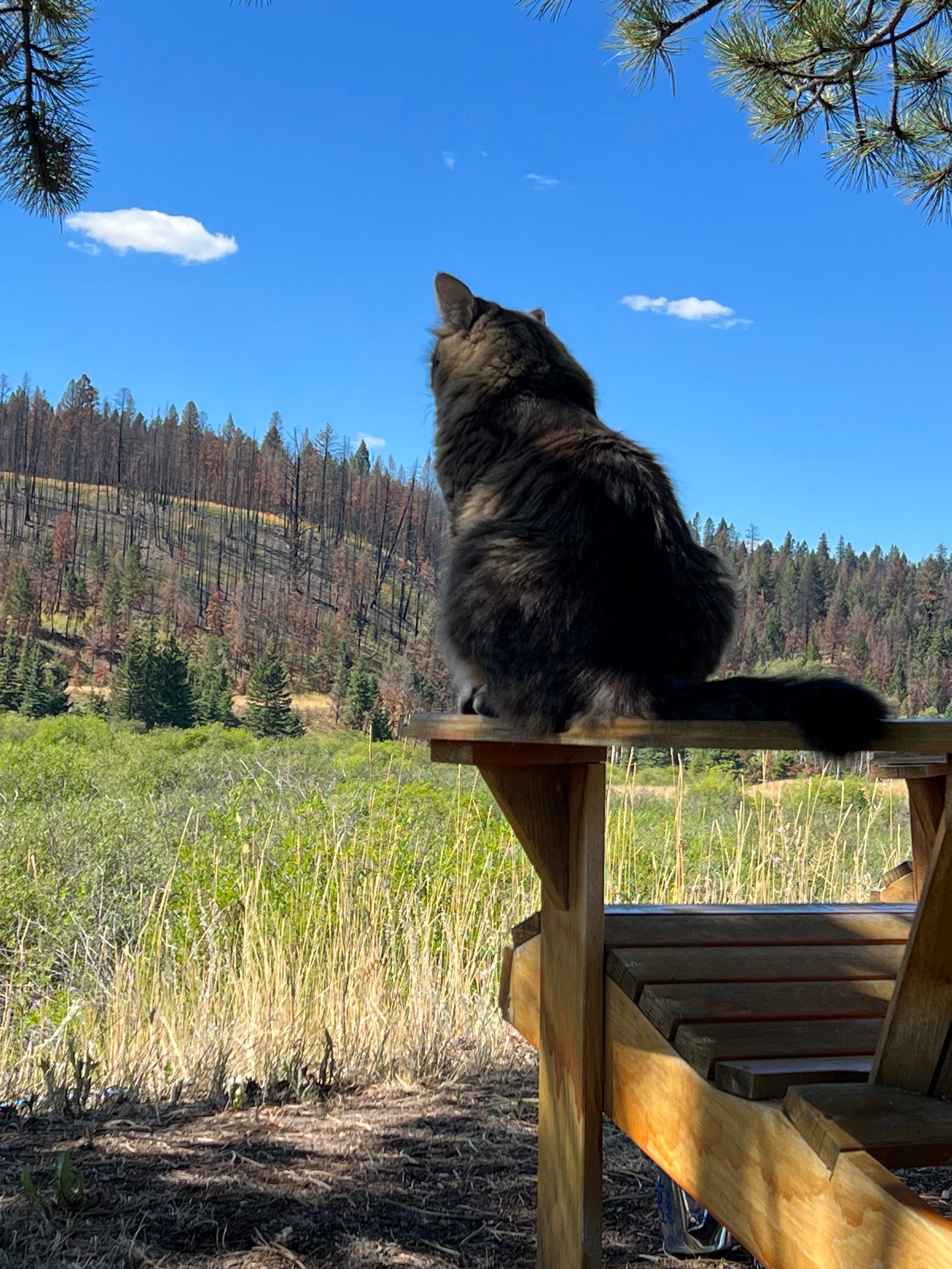 Highland House Ranch BnB