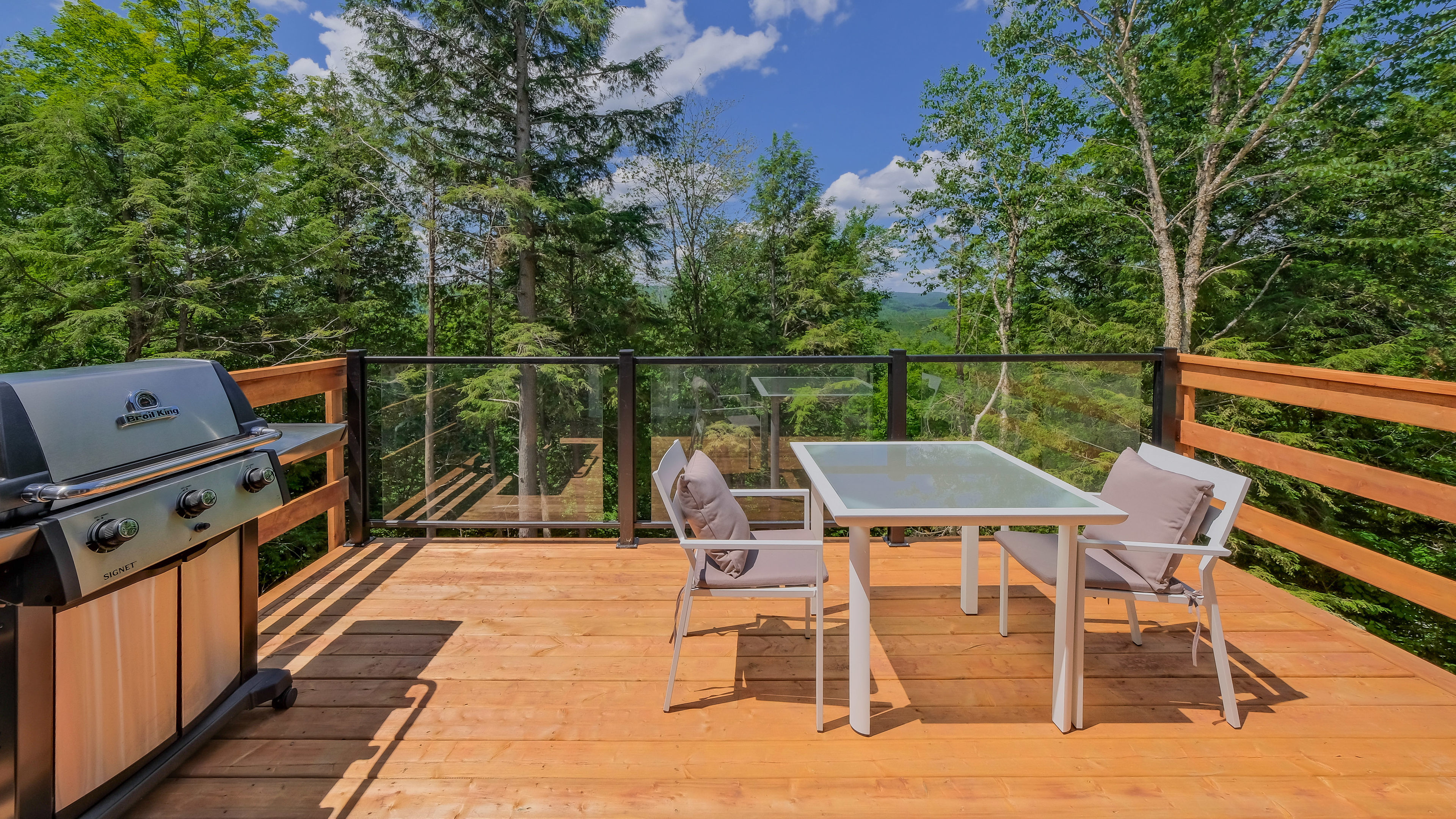 ANTARCTICA BEL AIR TREMBLANT