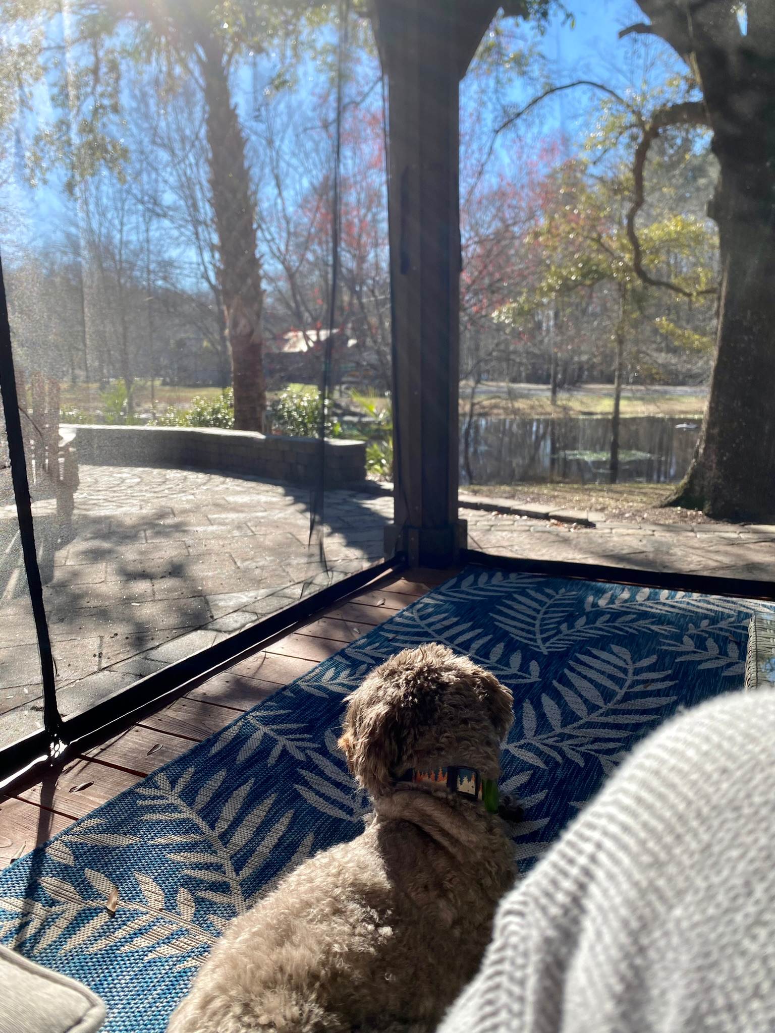 Edisto River Luxury RV Resort