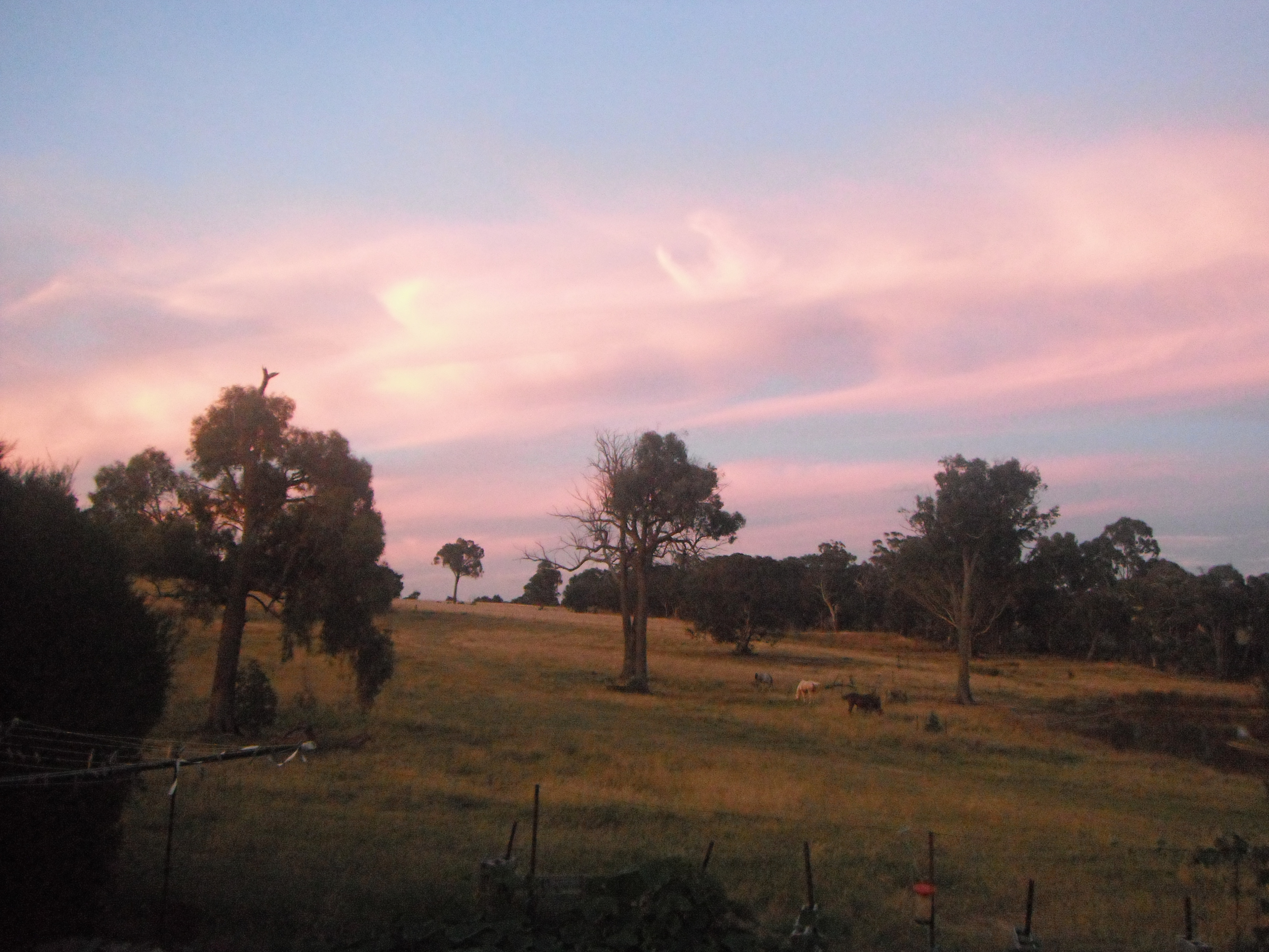 Peakgrove/Murrumvale Regen Ecoscape