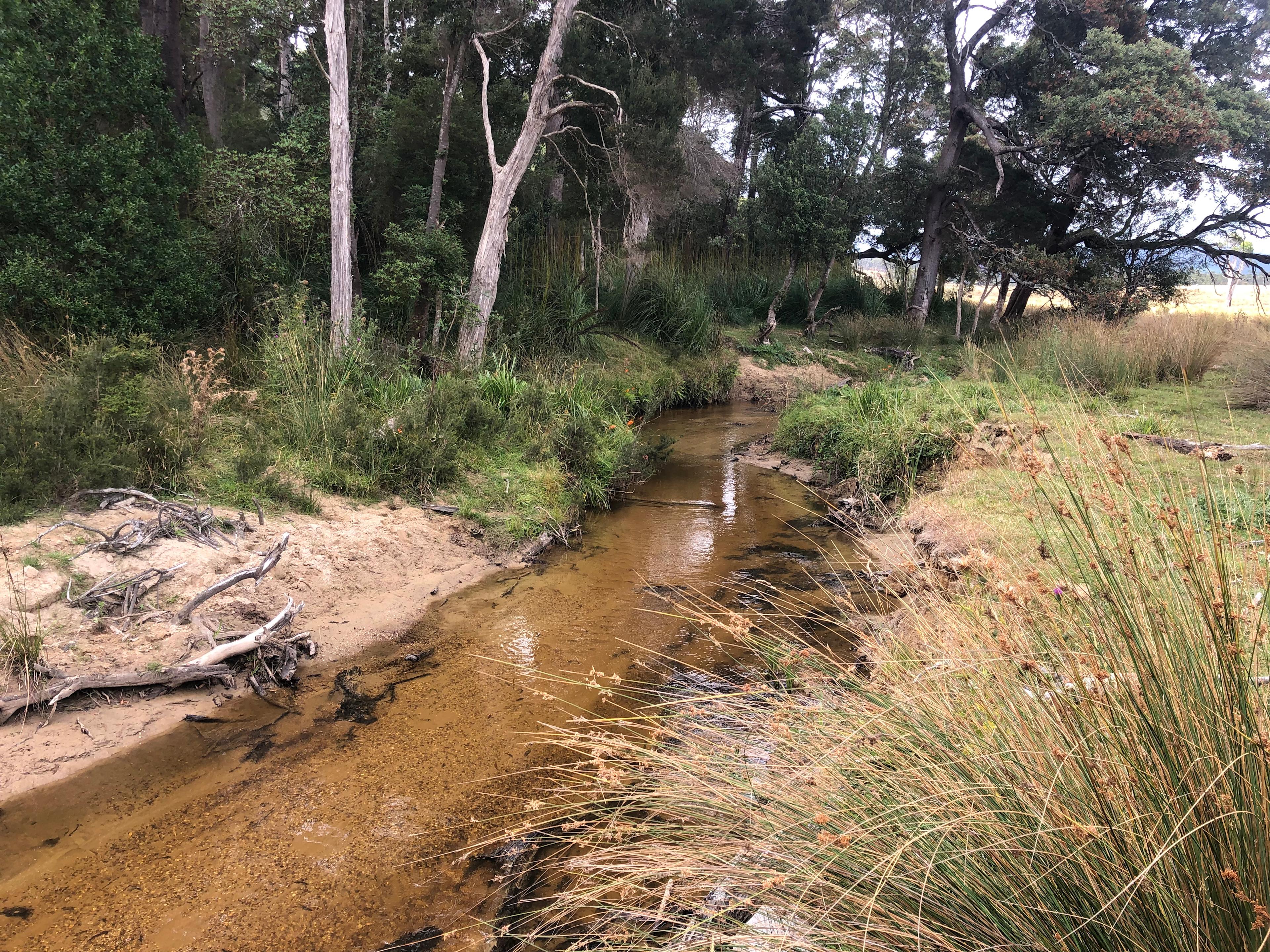 Penpol Park Bush Camp Retreat