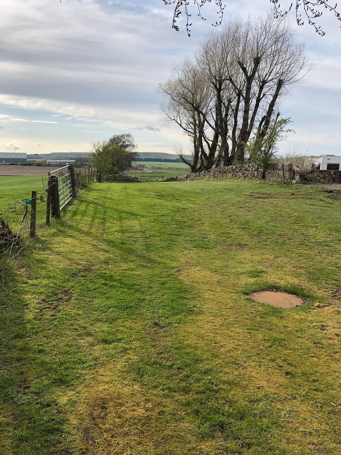 Collierhall Farm