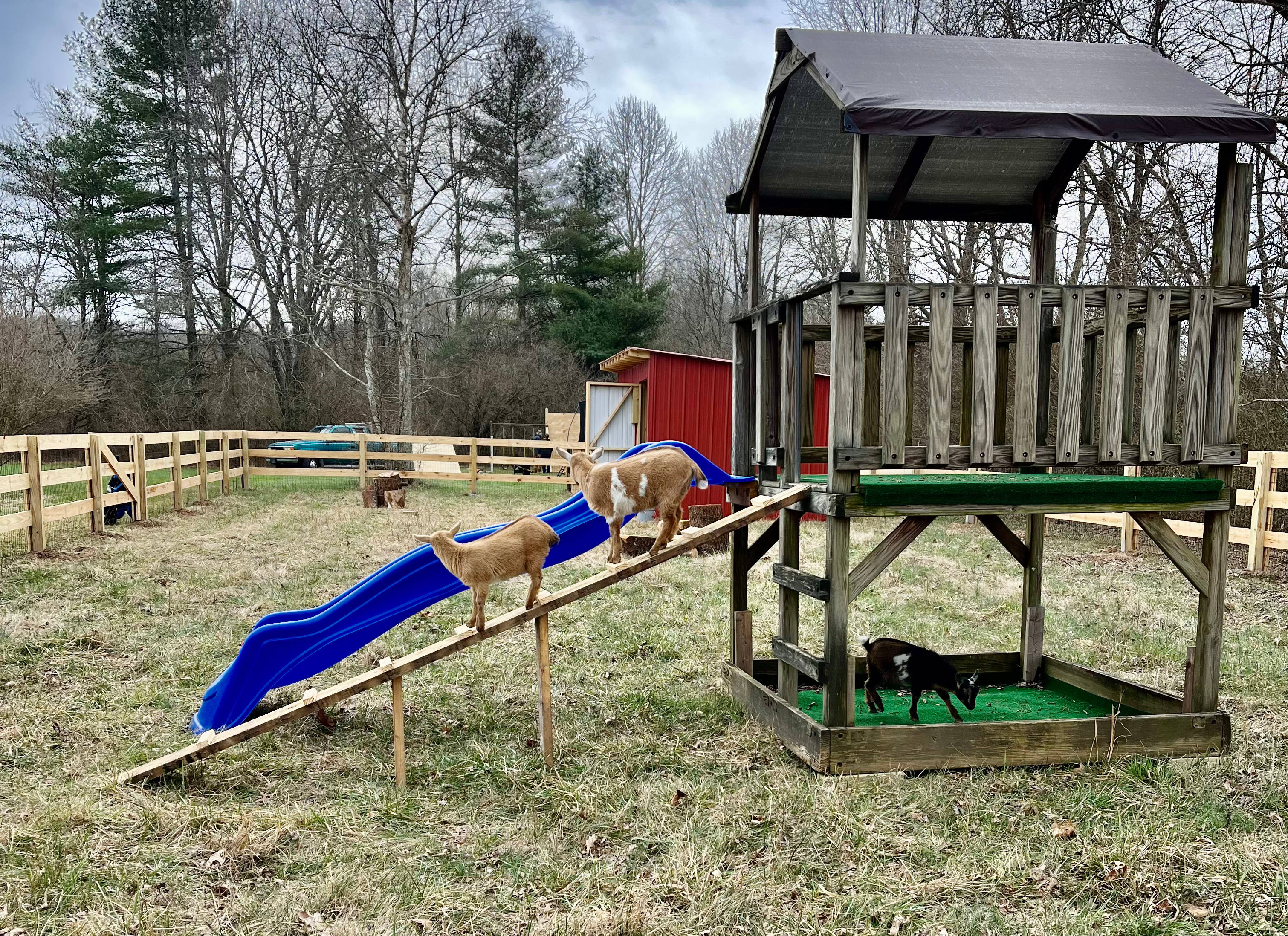 Benjamin's RV Sanctuary