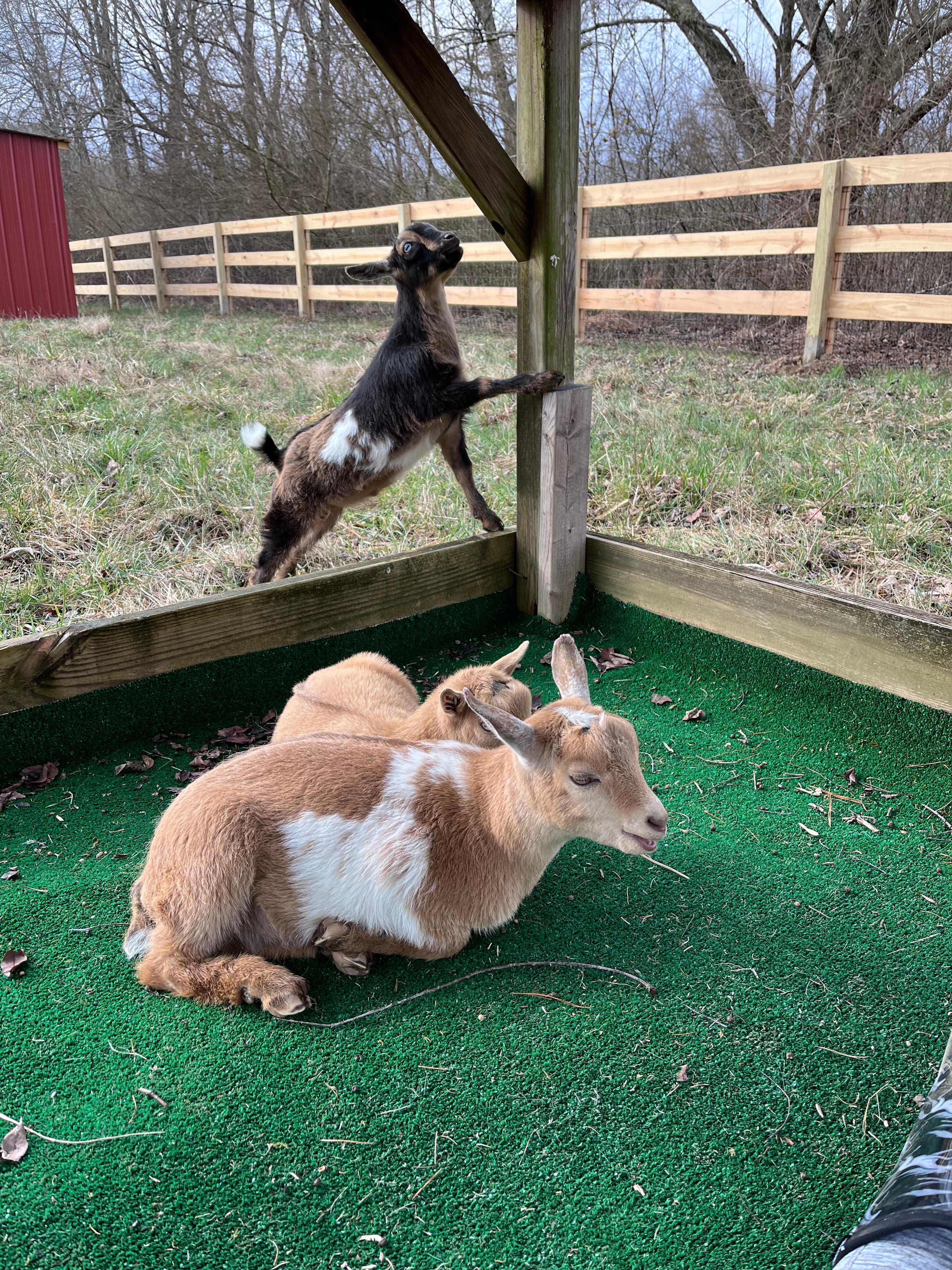 Benjamin's RV Sanctuary