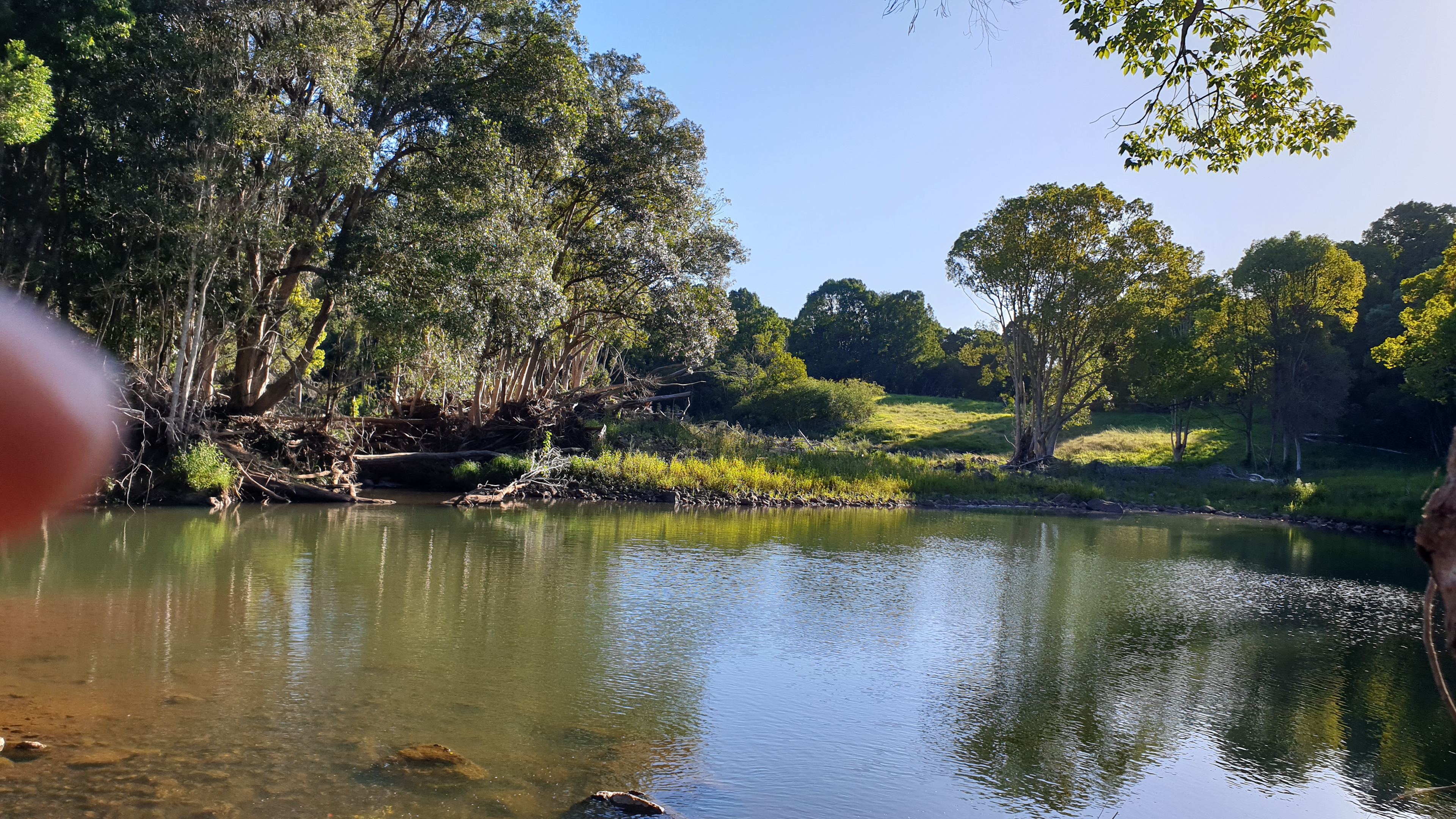 Eagles Nest Hideaway, Pecan Fields