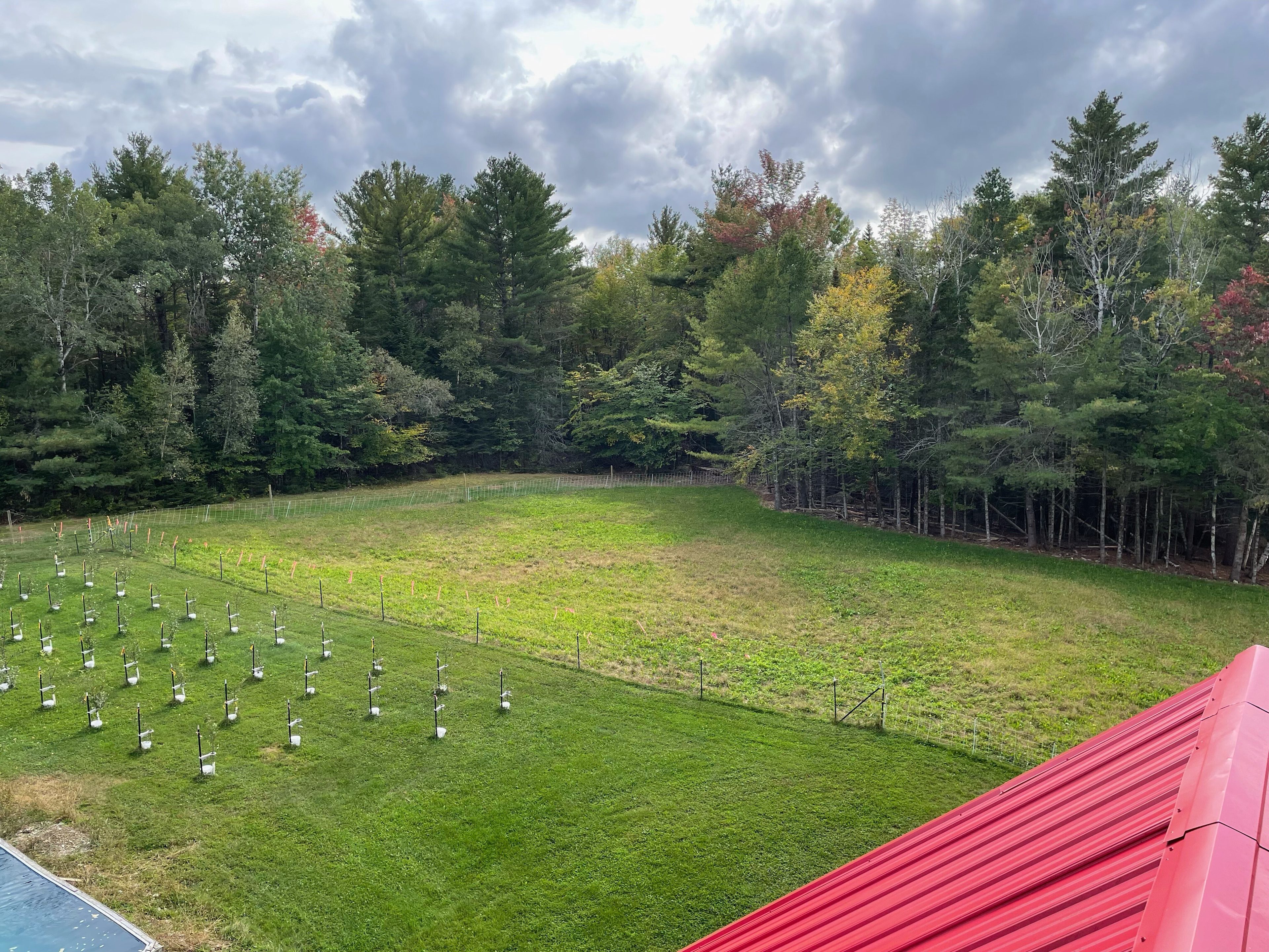Marble Creek Acres