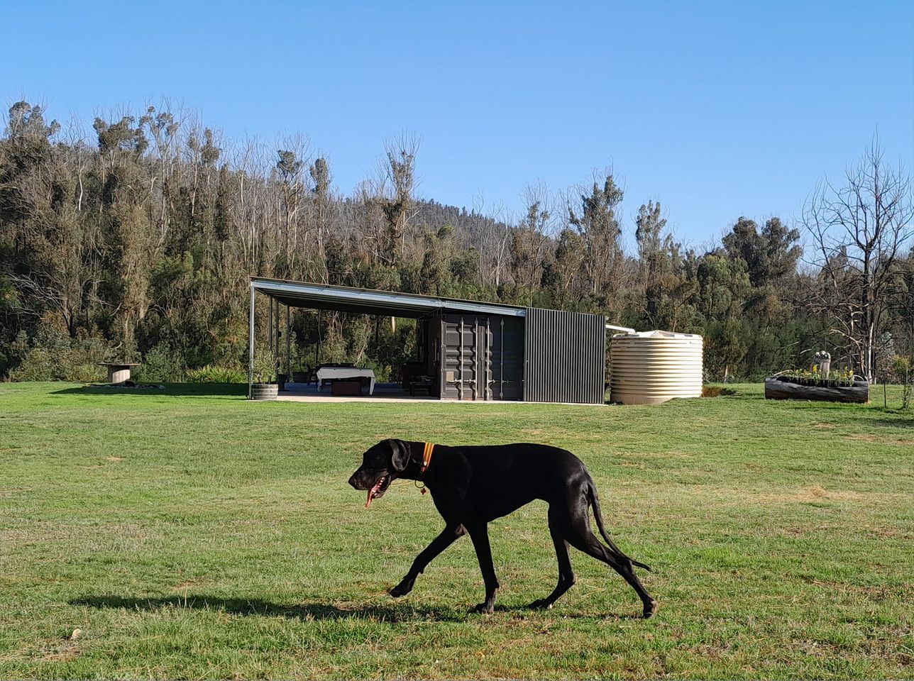 Nerrigundah Tuross River Camping