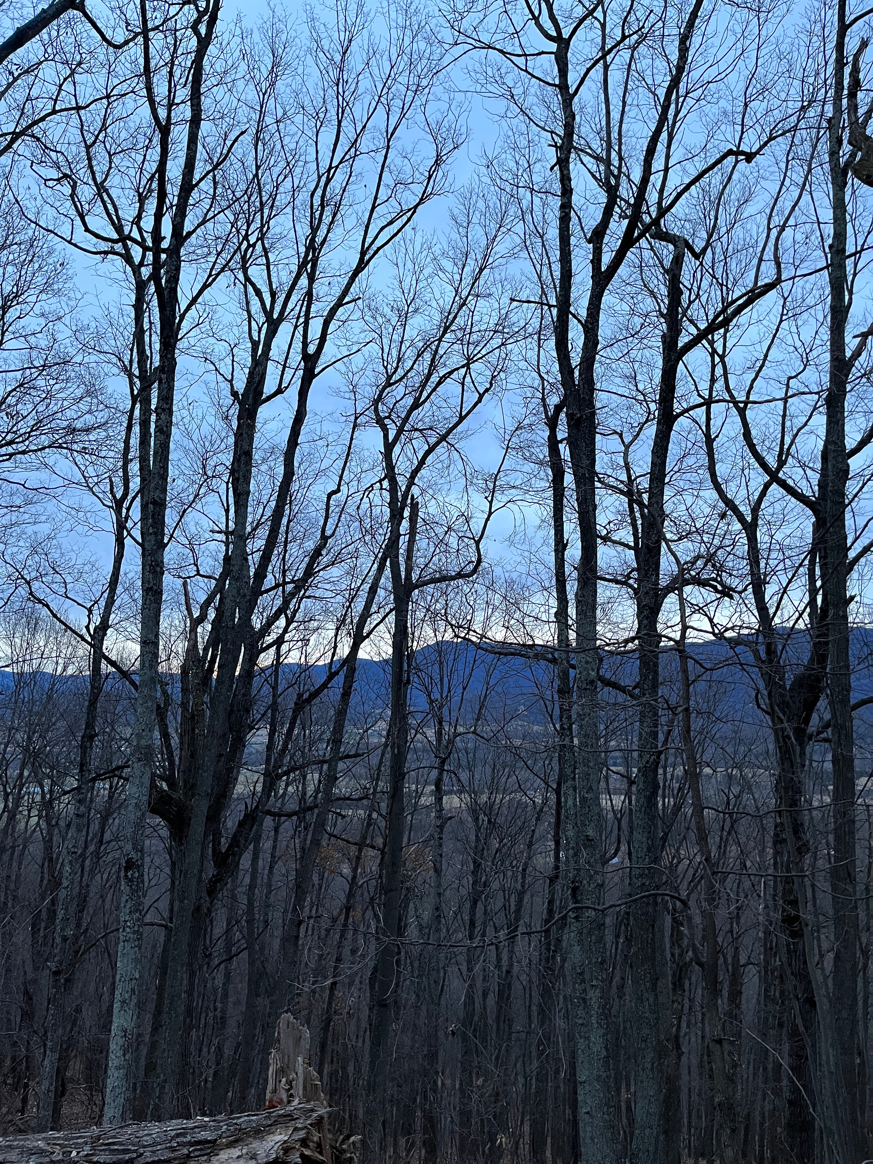 Shenandoah Valley MTN
