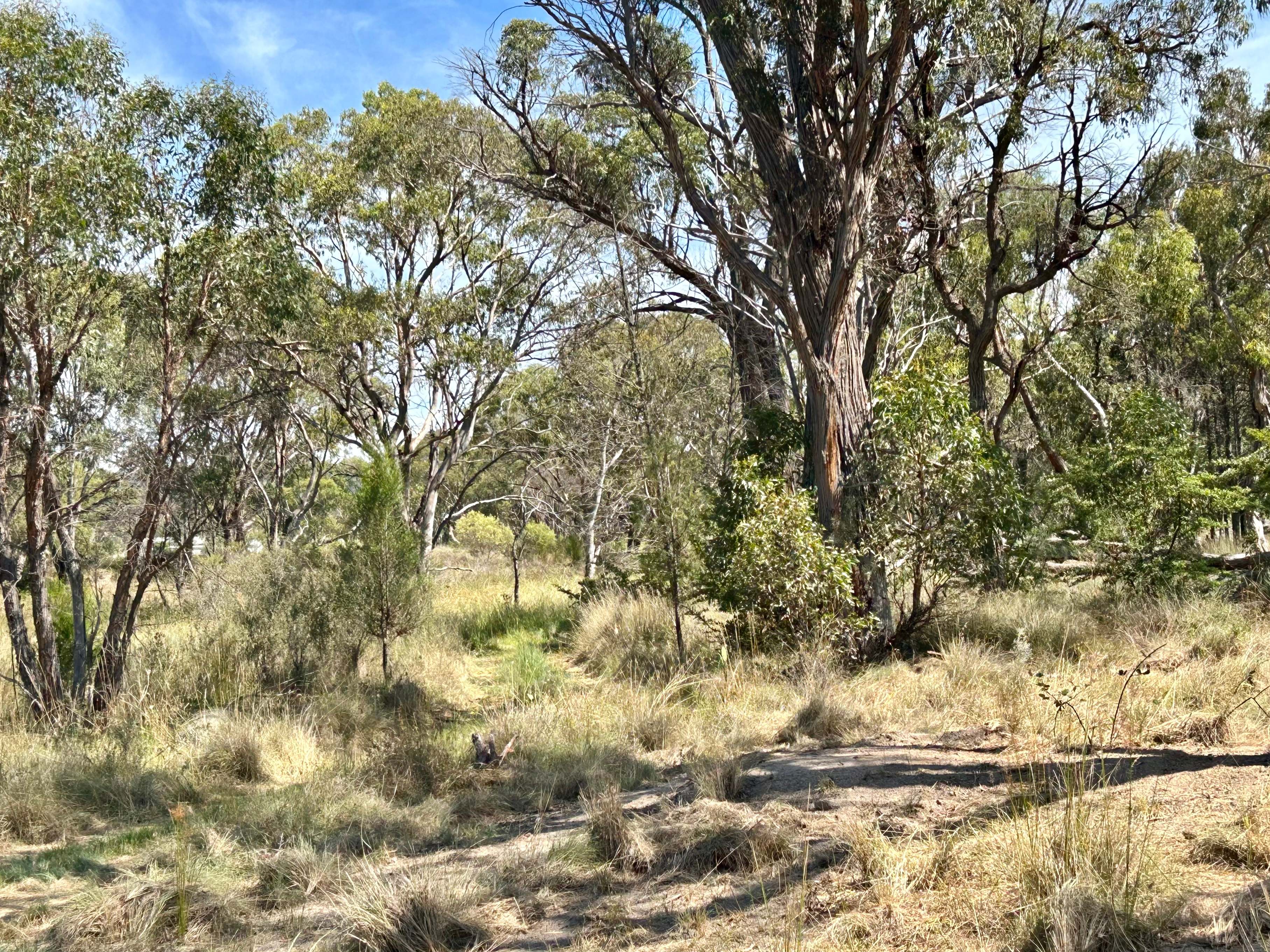 Mt Stirling Farm Off-Grid