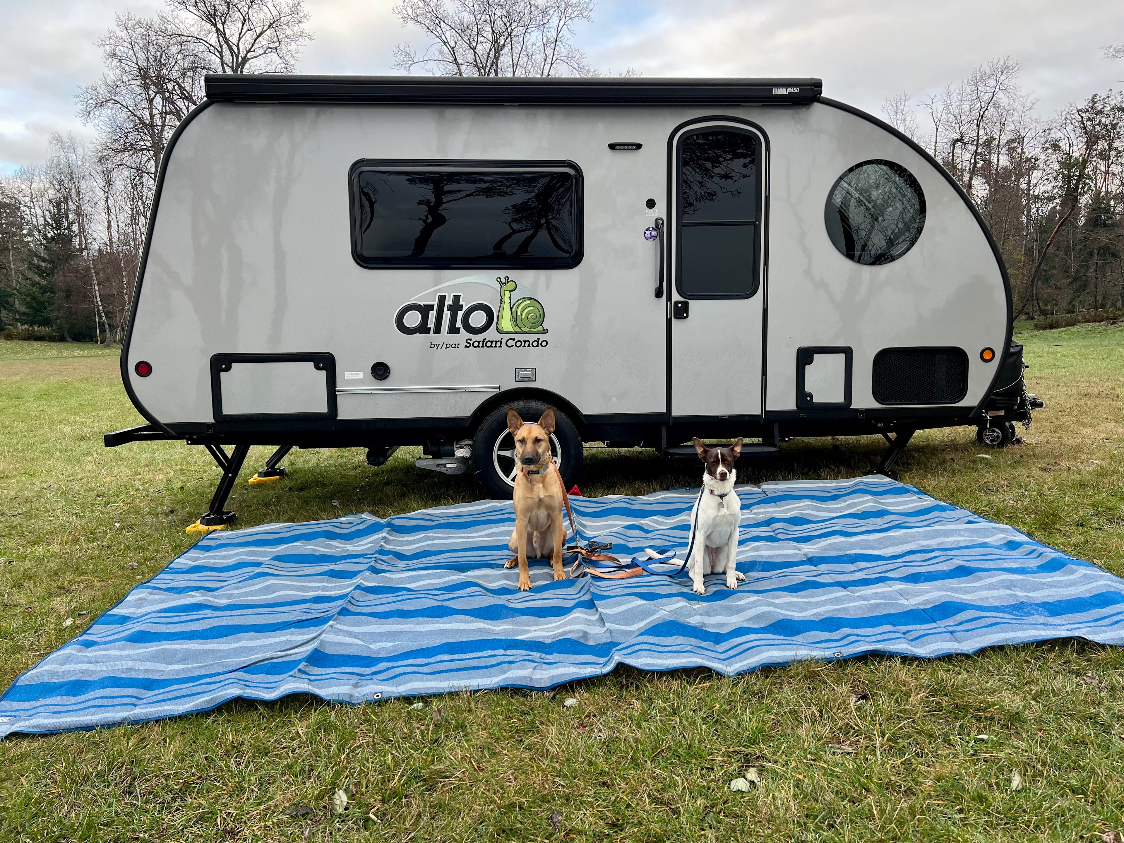 Two Bluff Campsites With Beach Access
