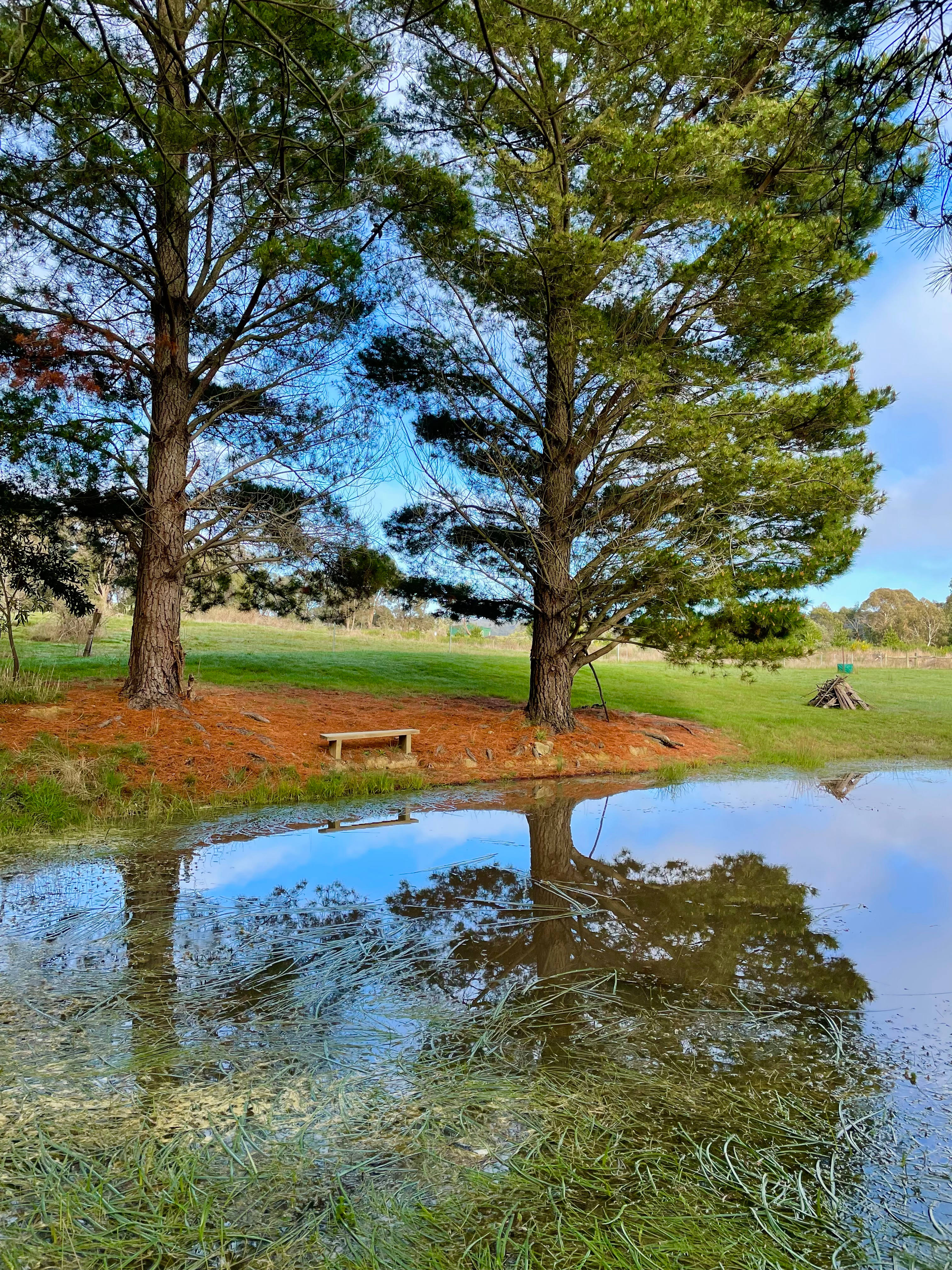 Pine Trees Farm - Waterloo