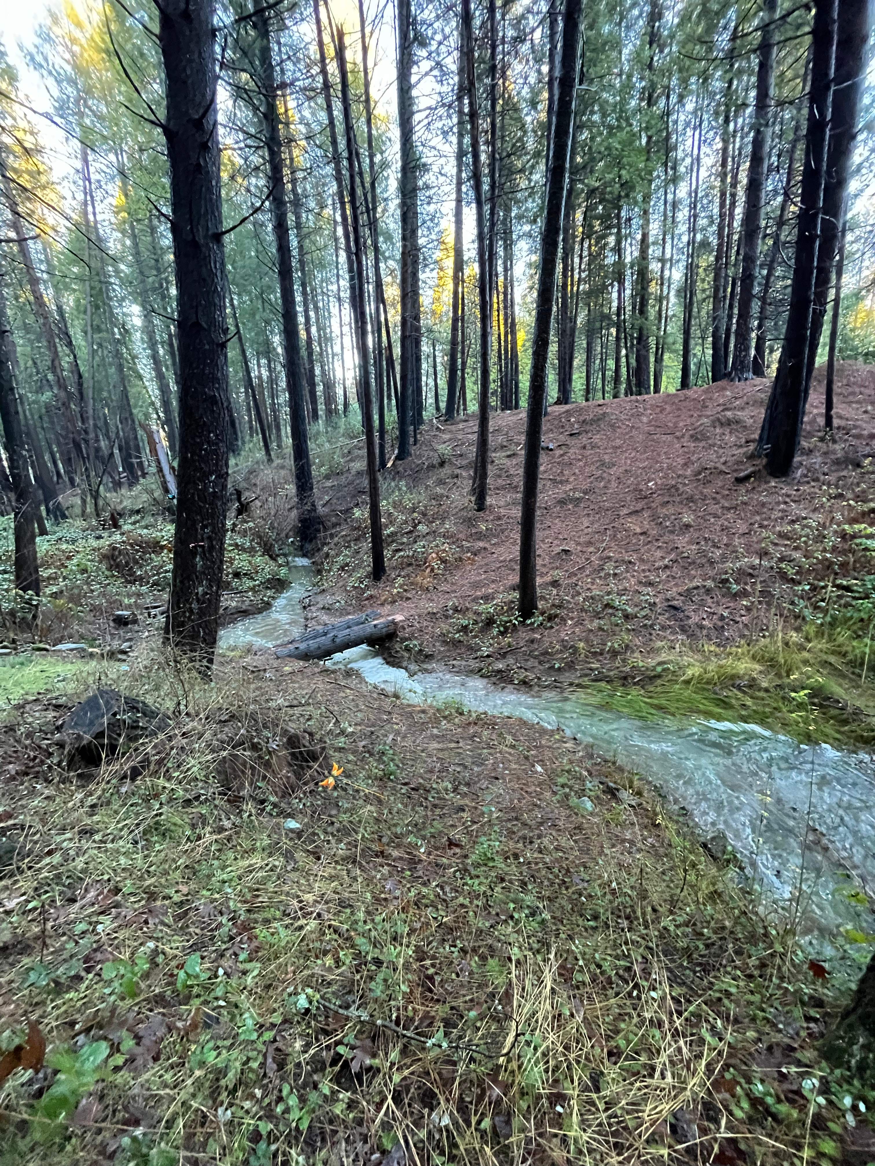 Small creek runs through property