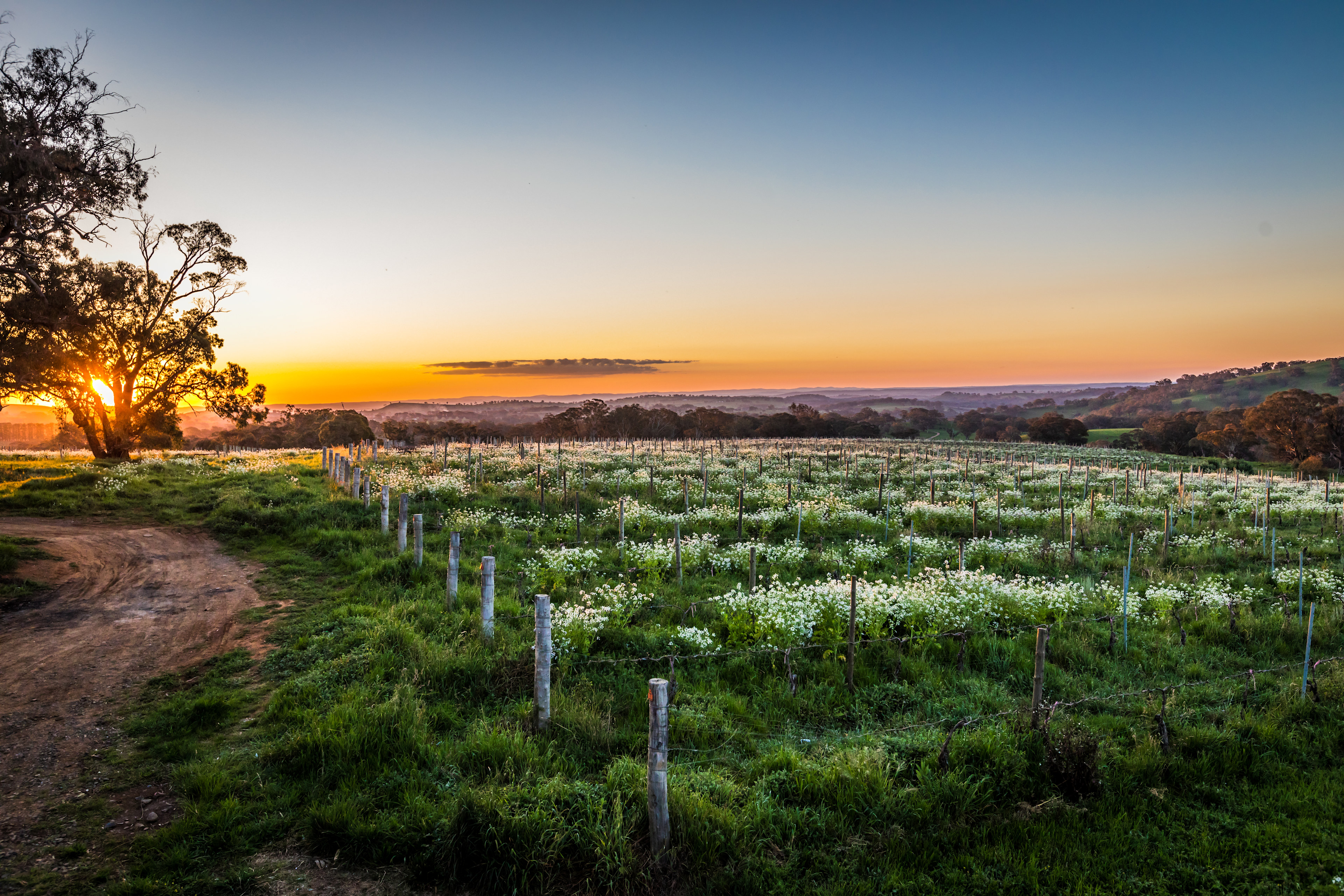Cargo Road Wines
