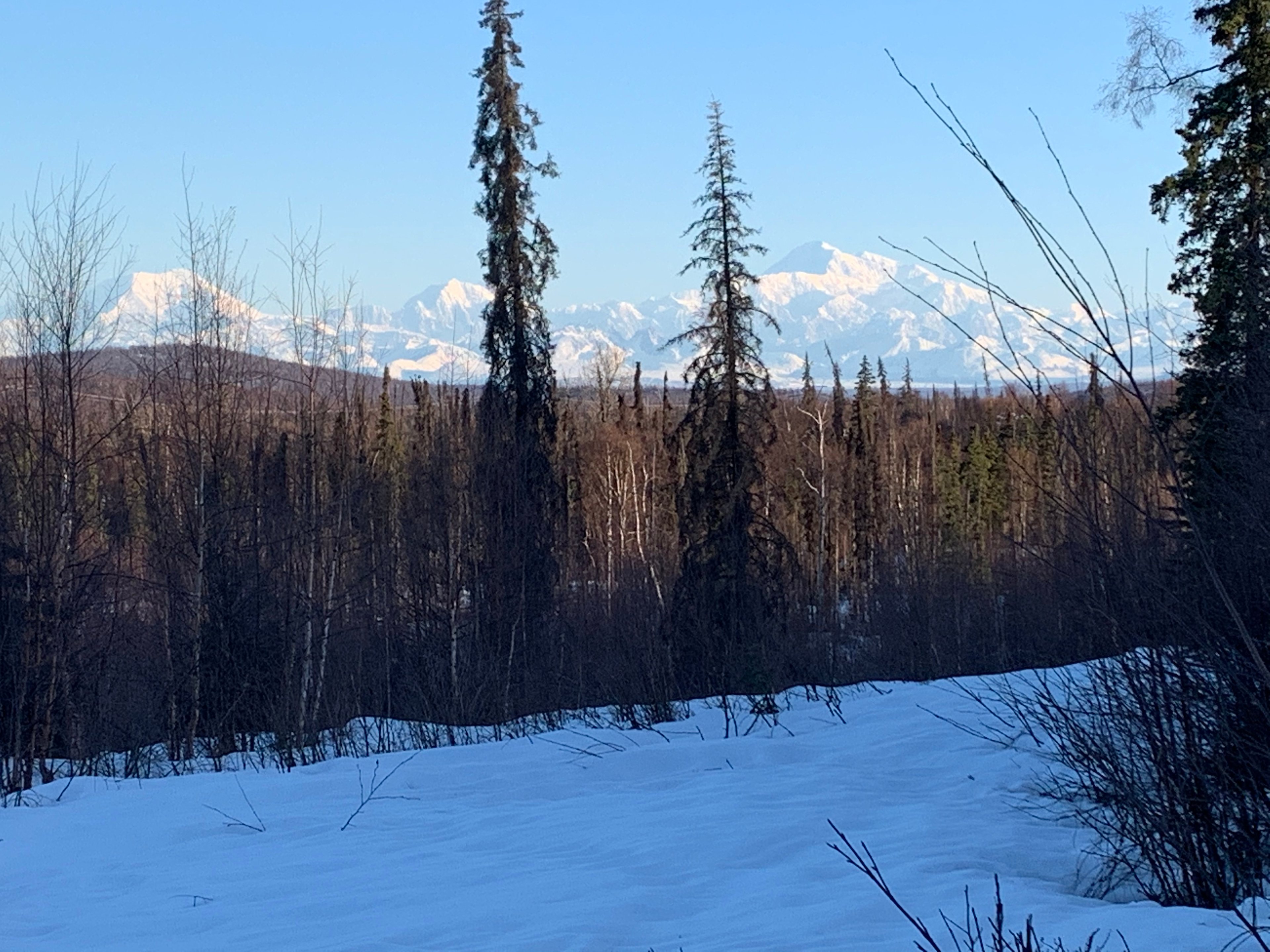 The Farmhouse atTaiga Tooth
