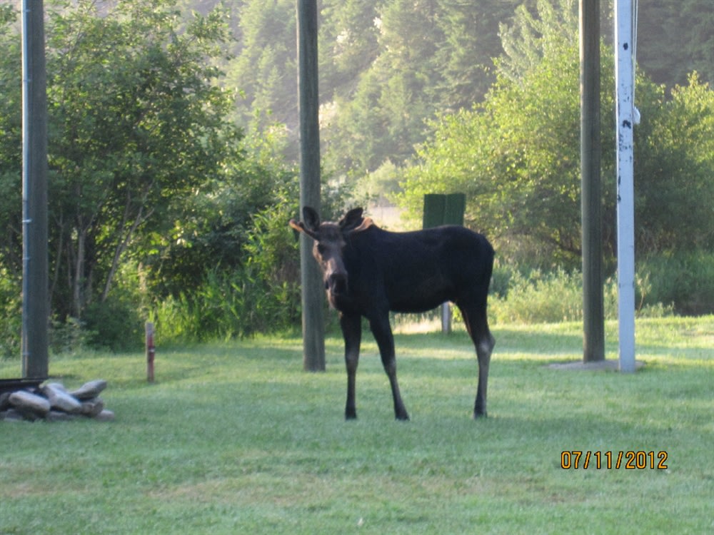 Wolf Lodge Campground
