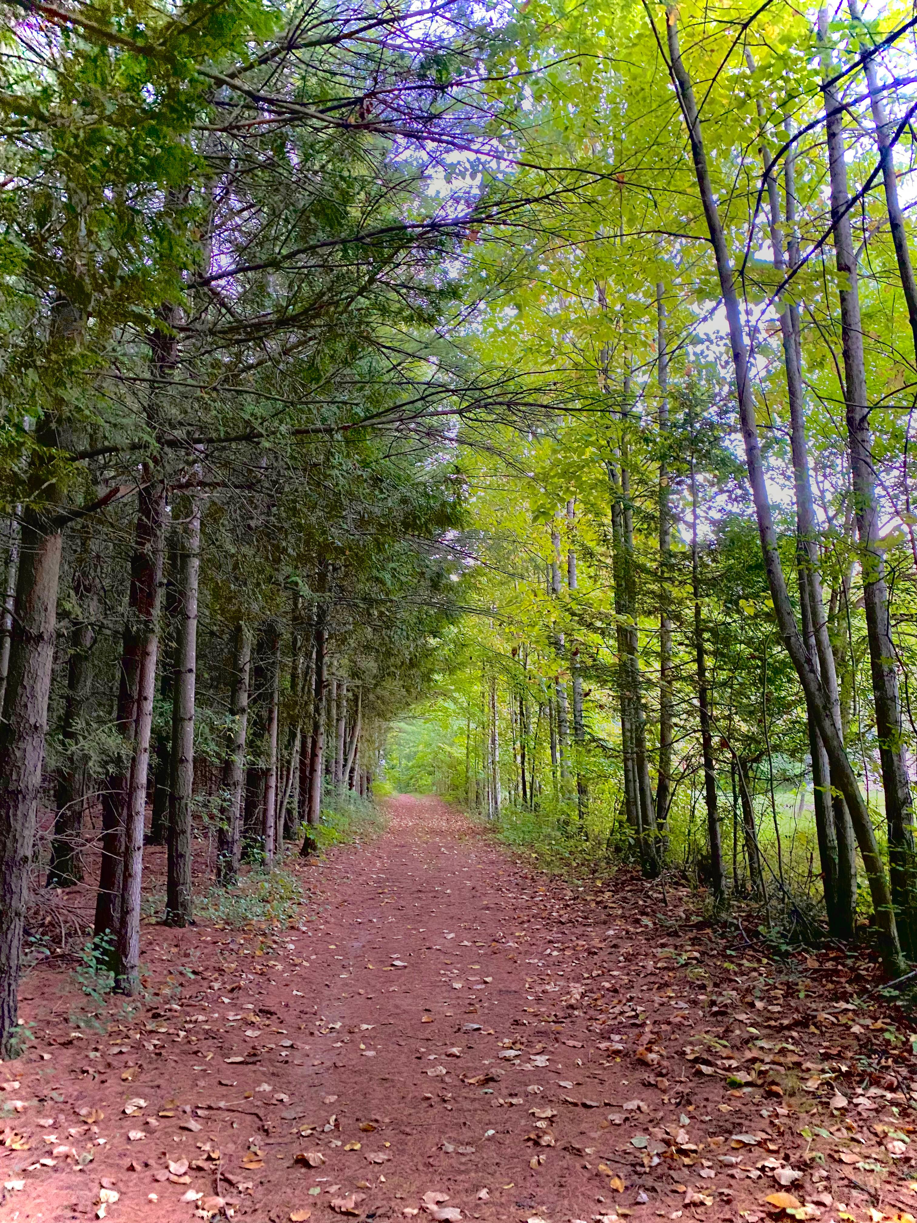 Bent Tree Farms