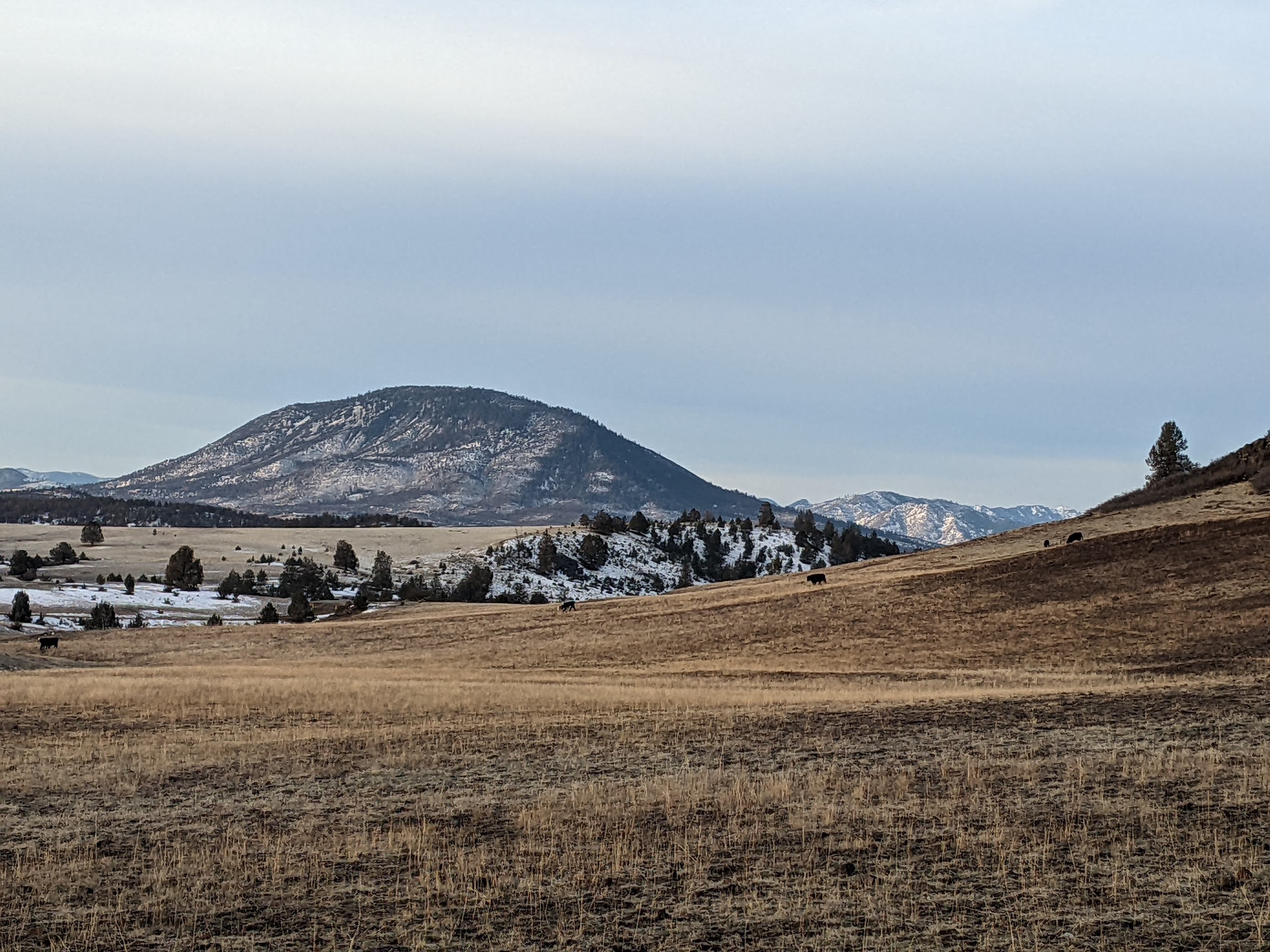 Black Mtn with some snow, as seen from our valley view site