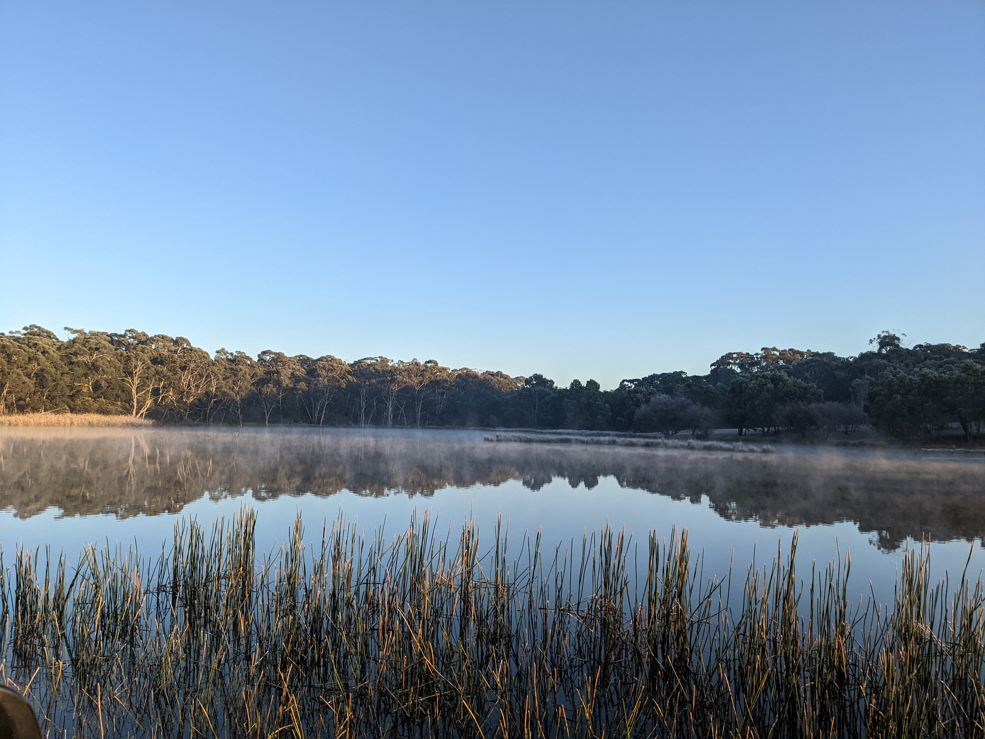 Lancefield Lake's A WETLANDS WONDER
