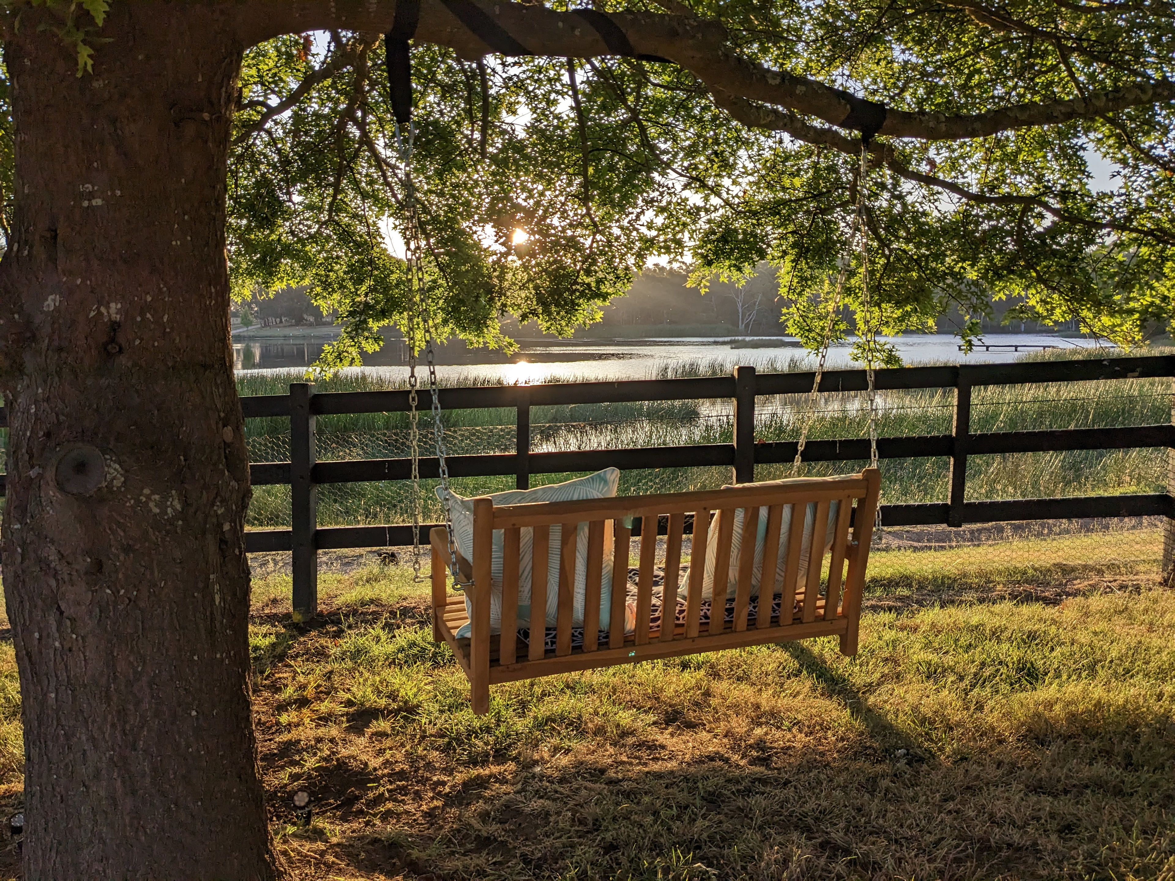 Lancefield Lake's A WETLANDS WONDER