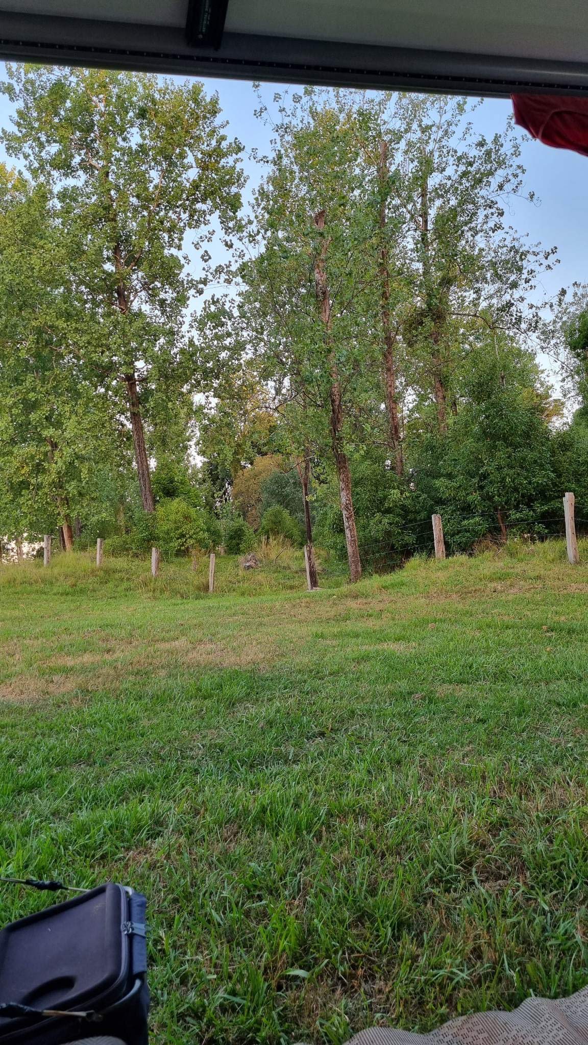 Camper site with adjacent trees