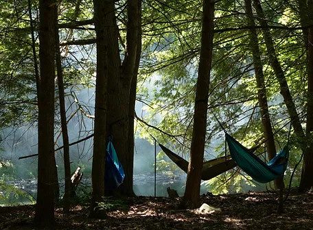 A private camping grove along Huntington Creek has been used by friends of the farm since its inception.