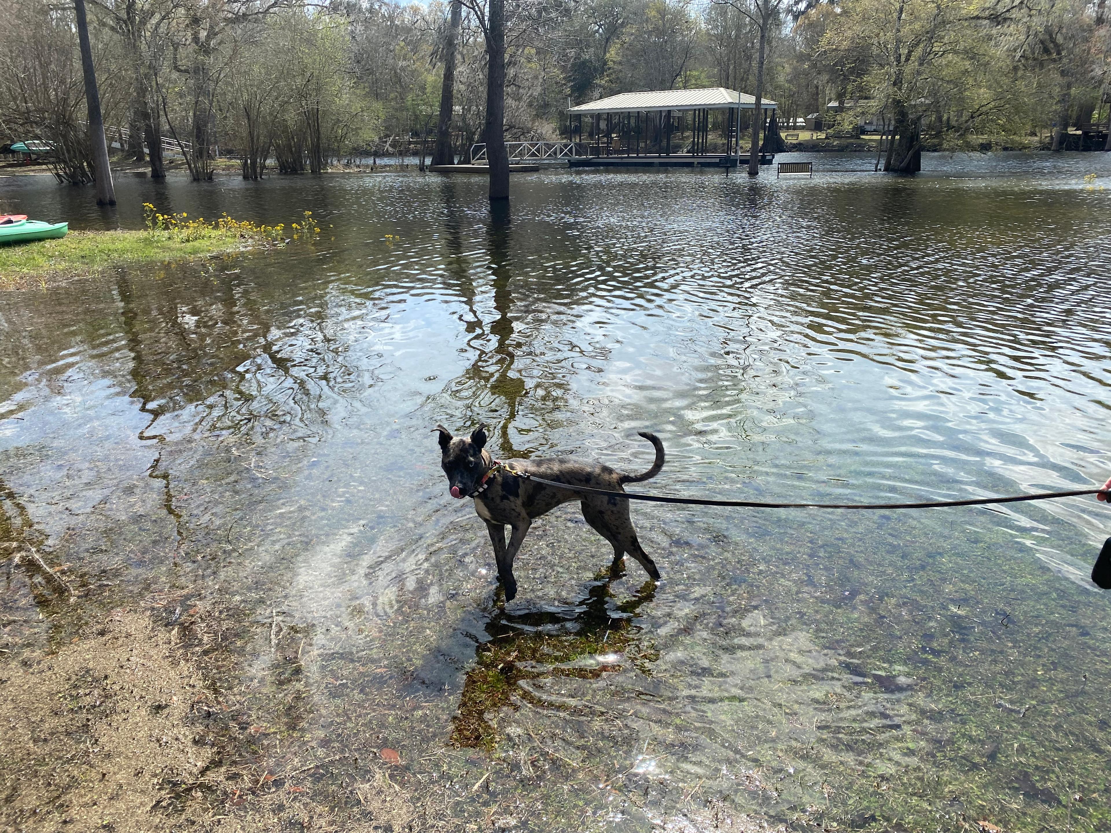 Santa Fe Riverfront / Ichetucknee