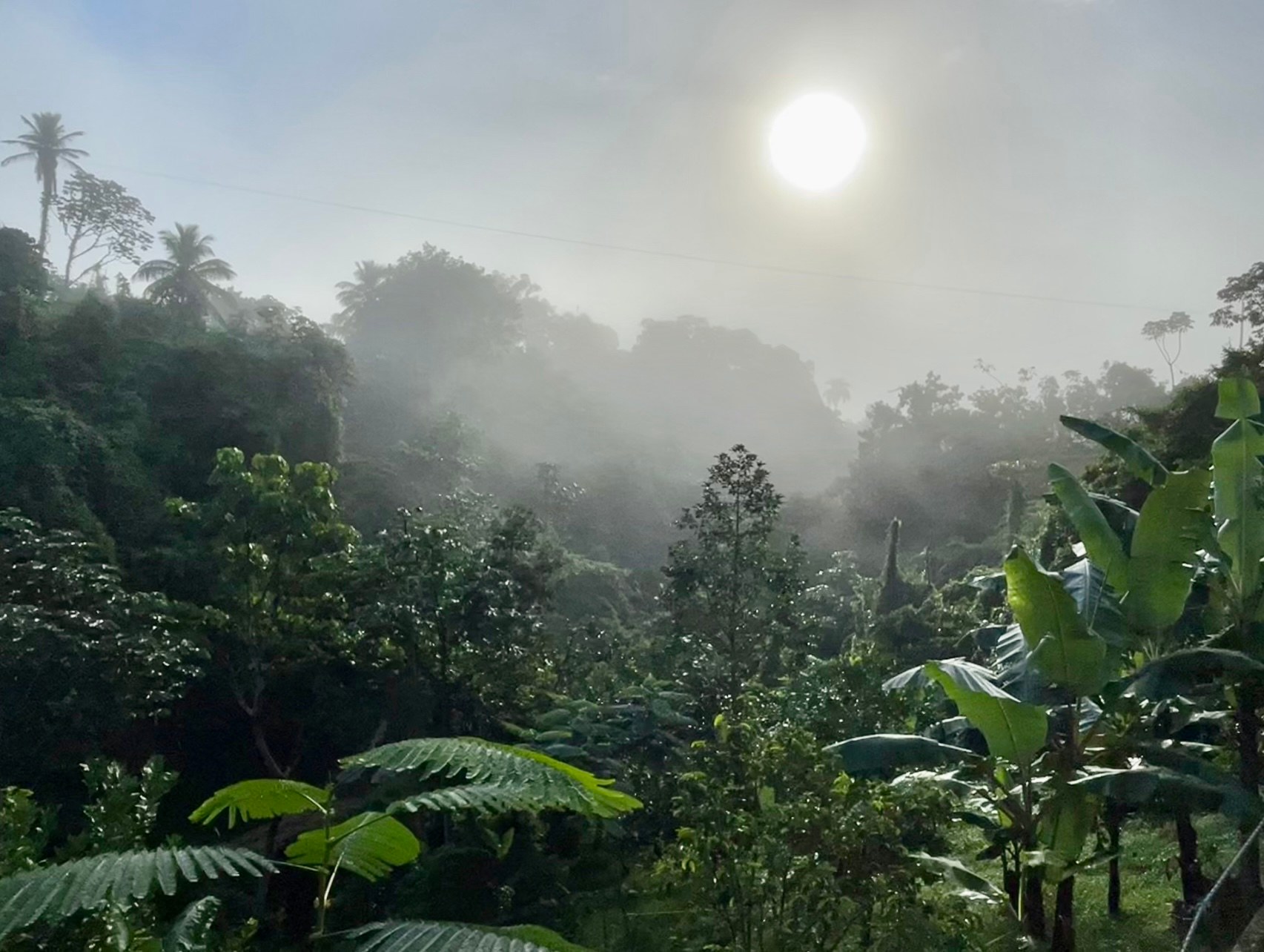 The misty mornings are breathtaking, and yet the cleanest fresh air you can enjoy. Great for exercising and relaxing. 