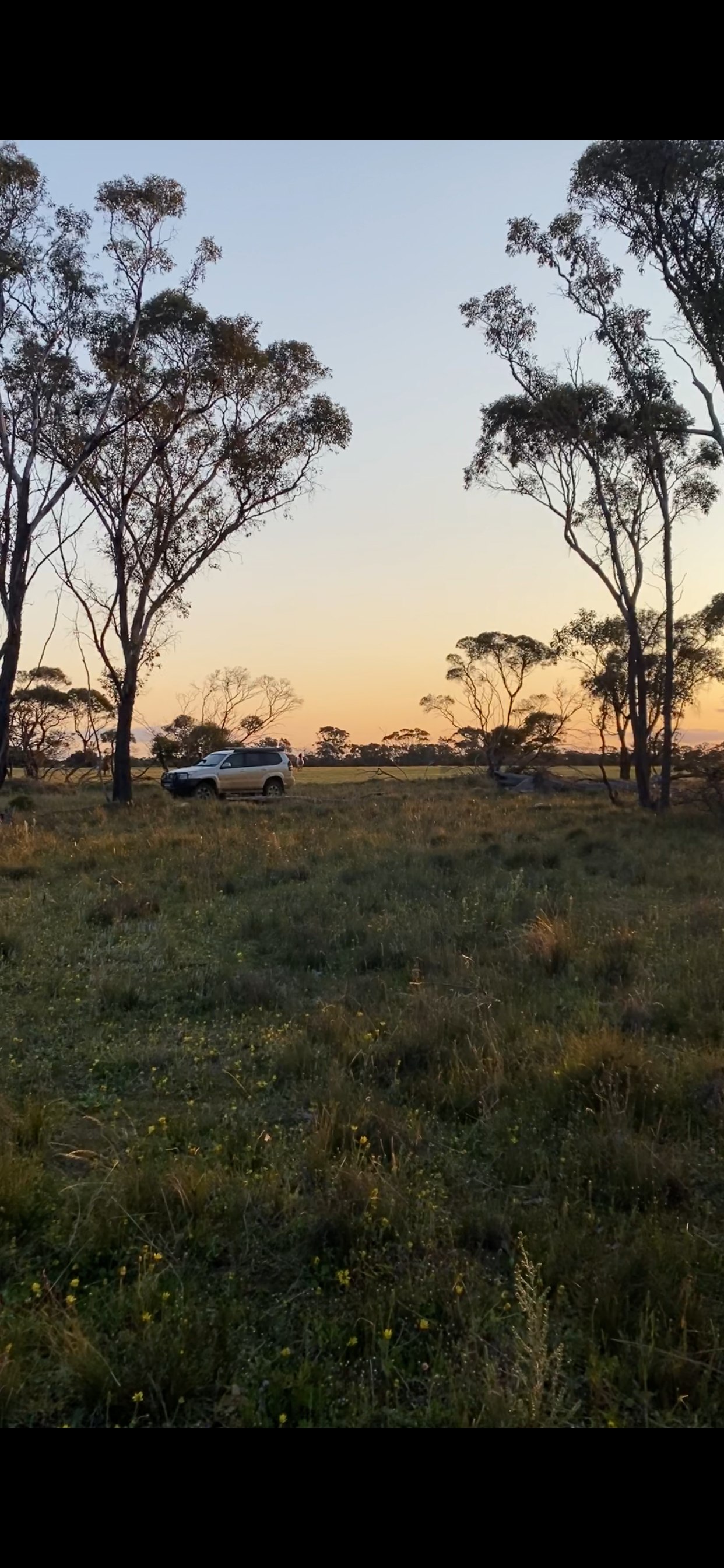 One of our Bush Camp Sites
