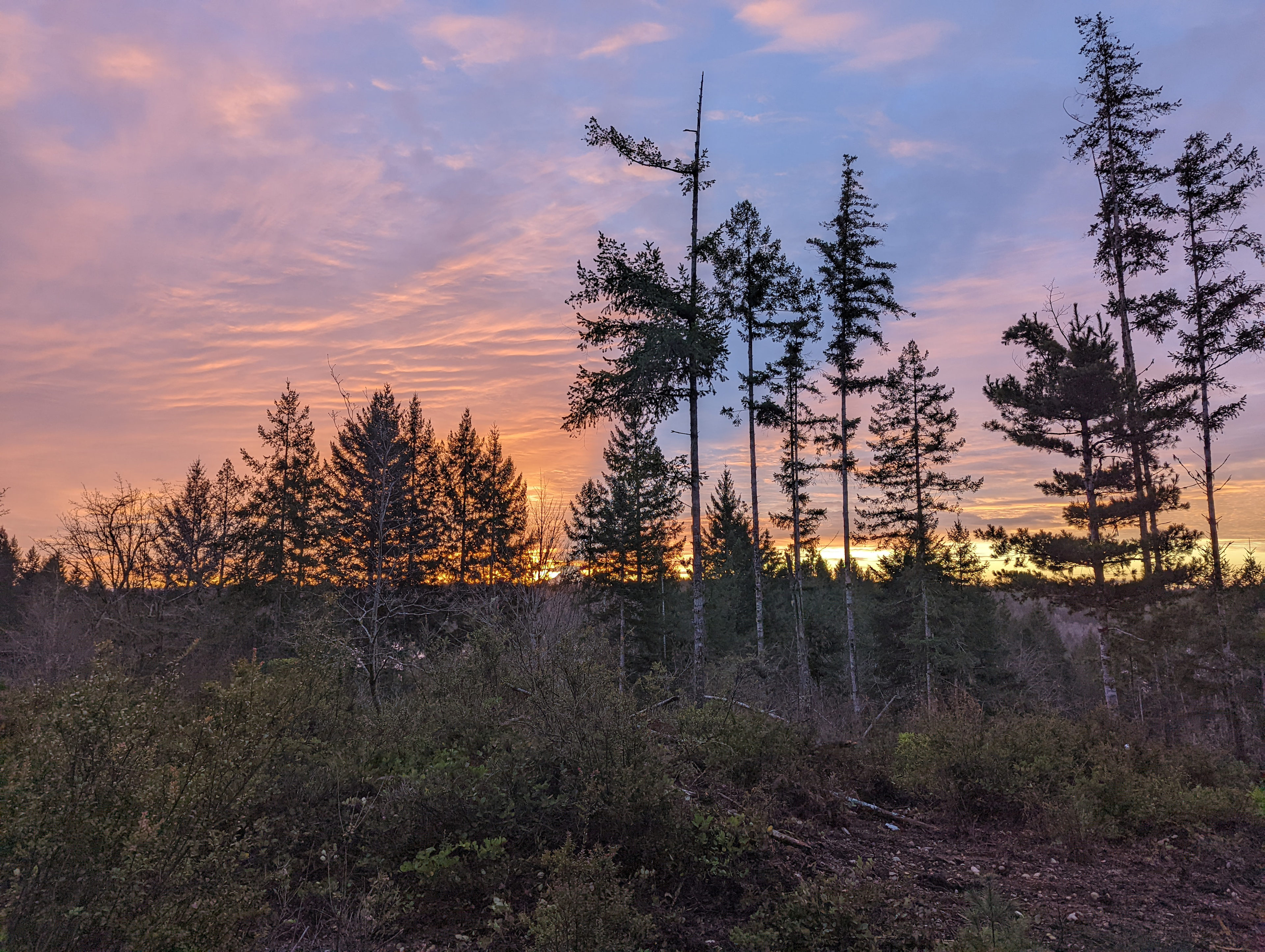 Southeast across the valley on a good winter sunrise.