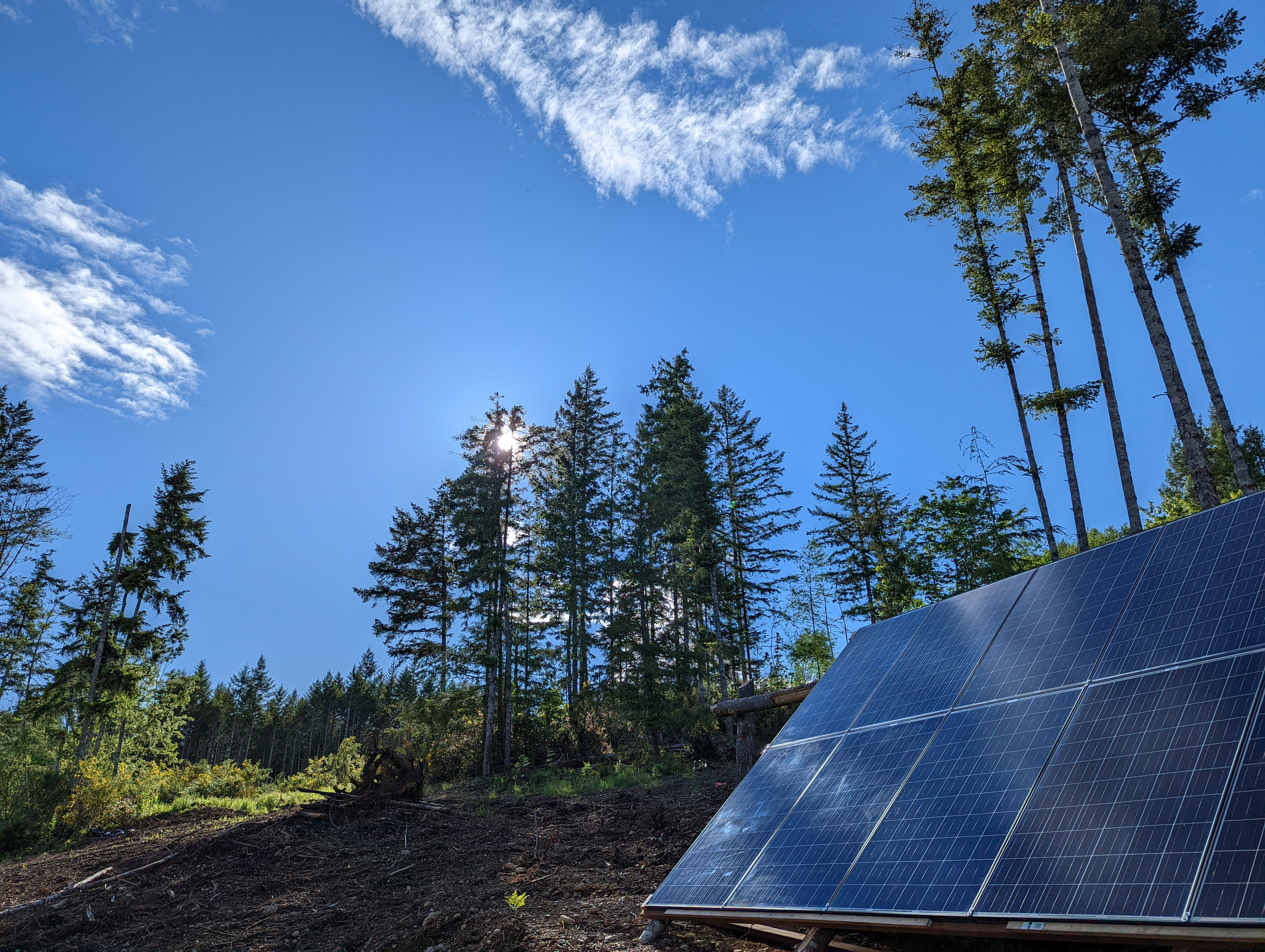 Future campsites here will have power and water available. The opening in the treeline in the left of this photo is the West perch location.