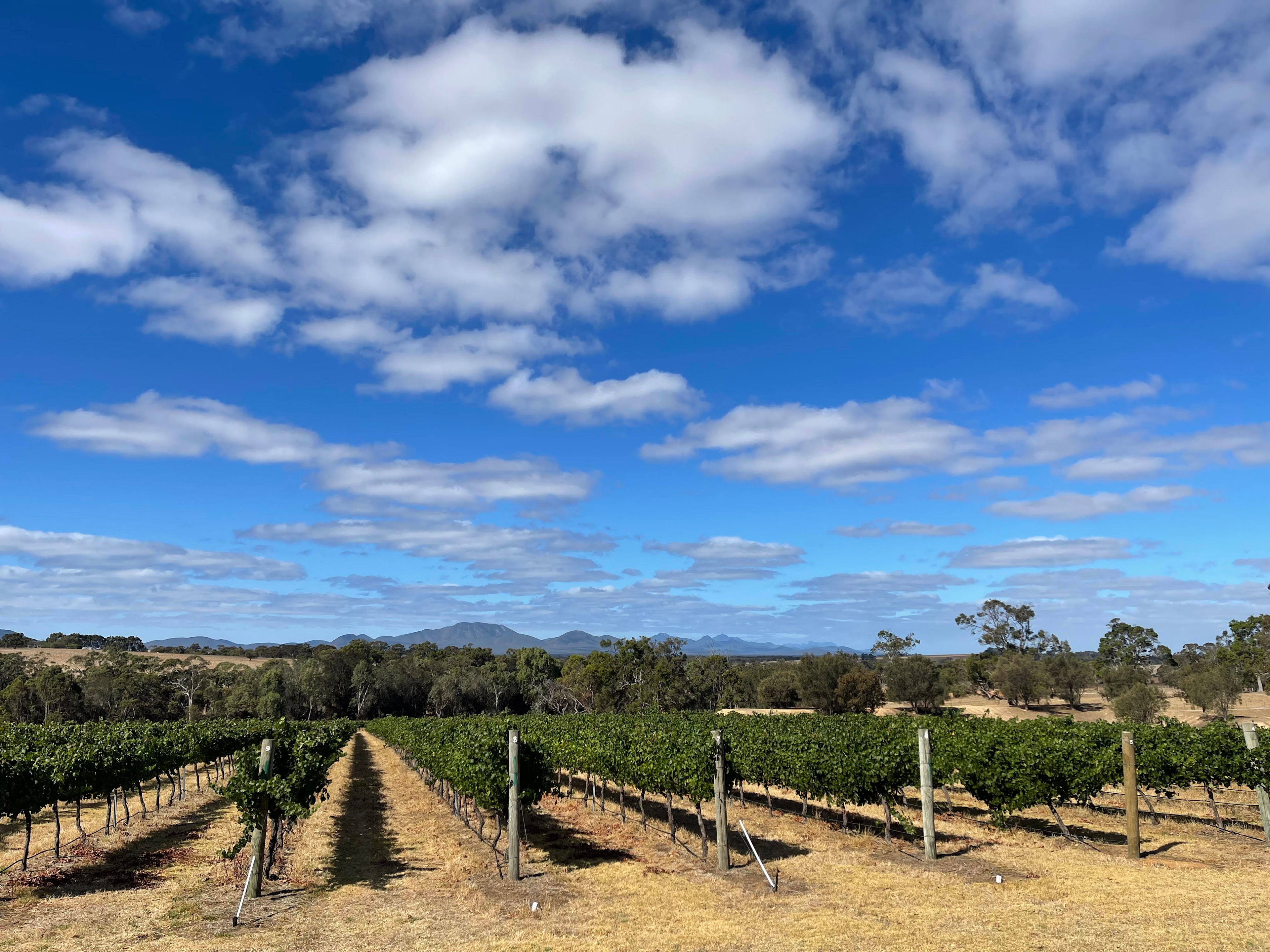 Mondurup Escape - Kendenup