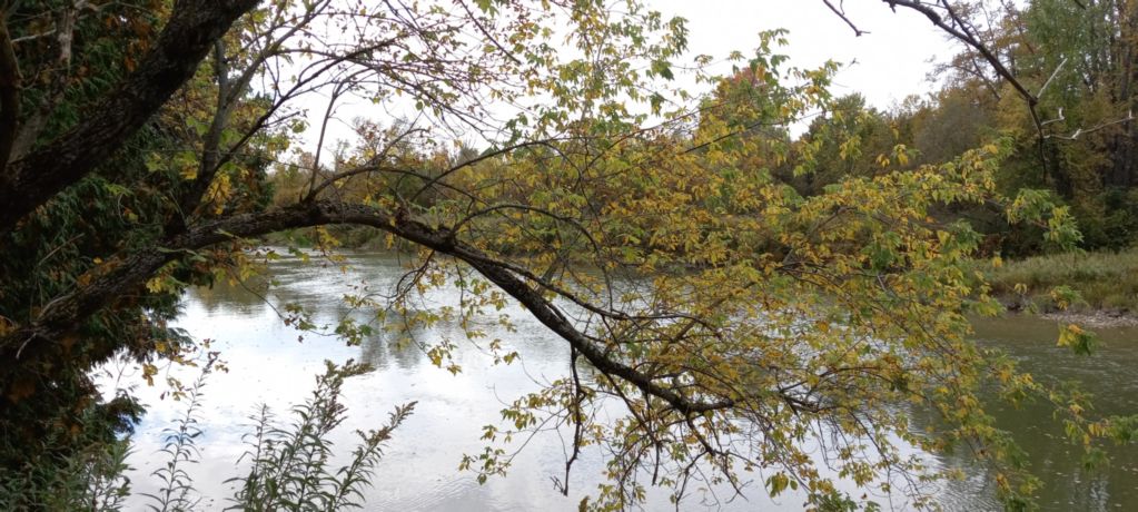 Rowley's Saugeen River Adv. Acres