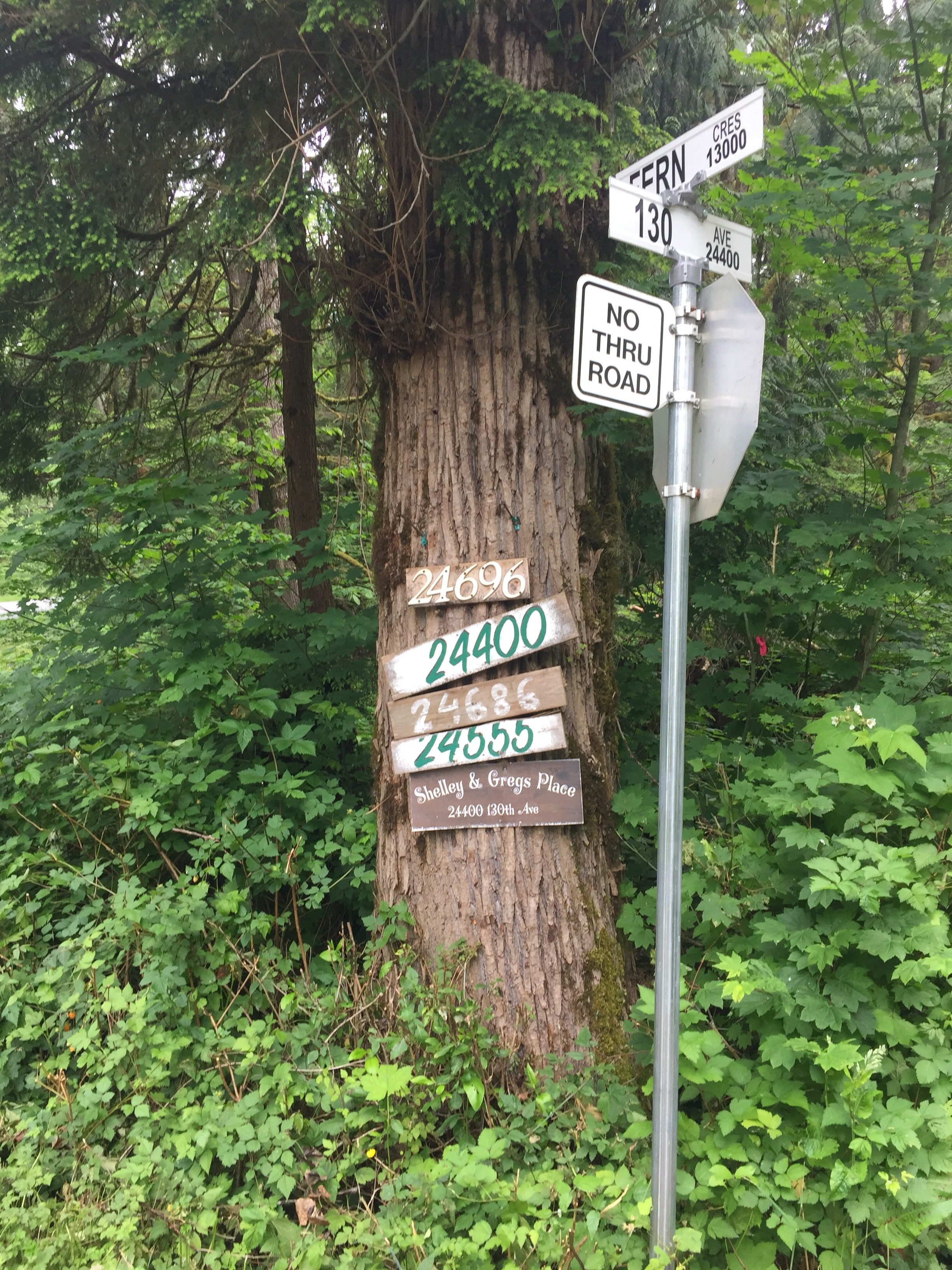 An Experience!-Golden Ears Glamping