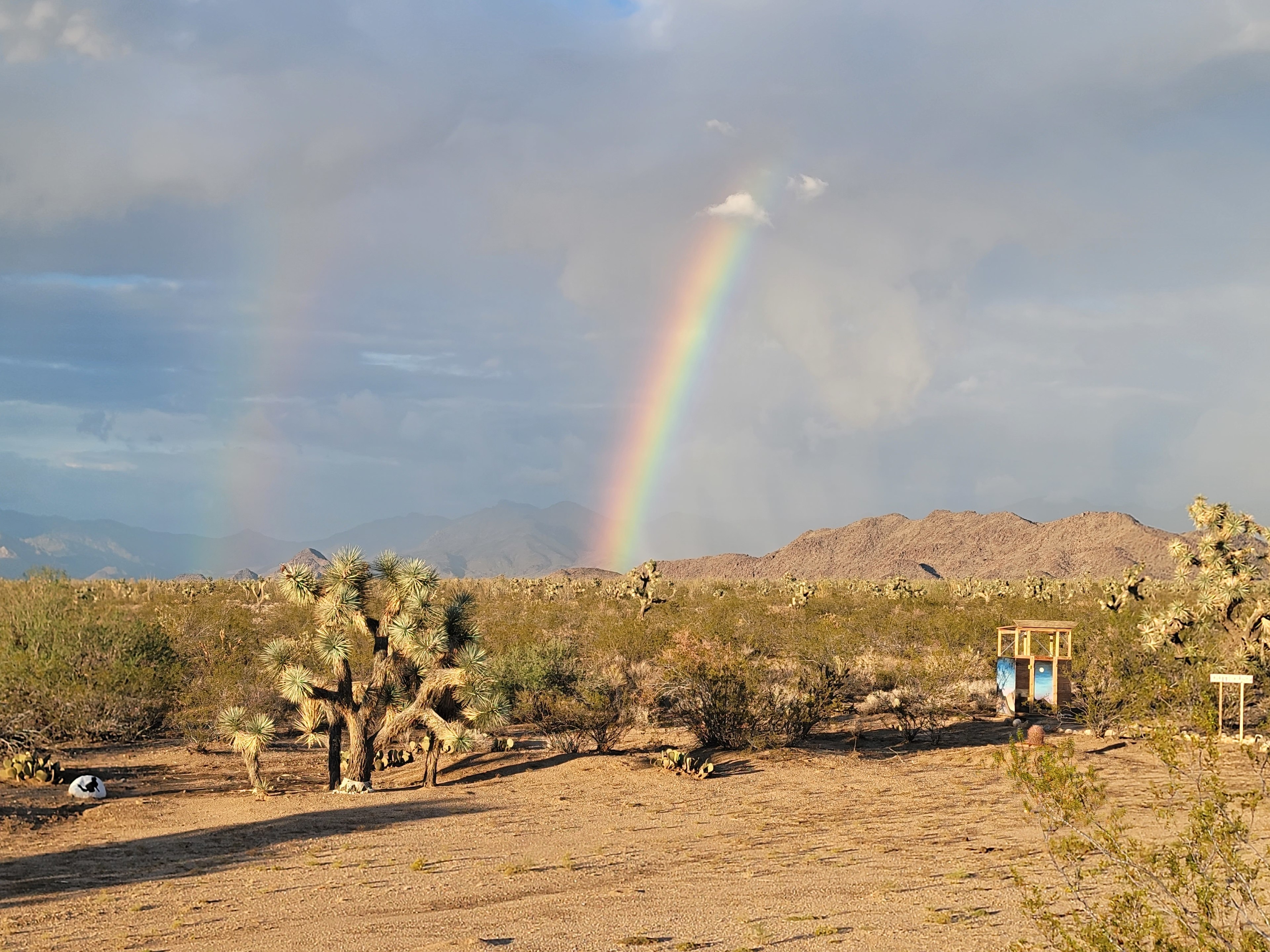 Magic in the Mohave