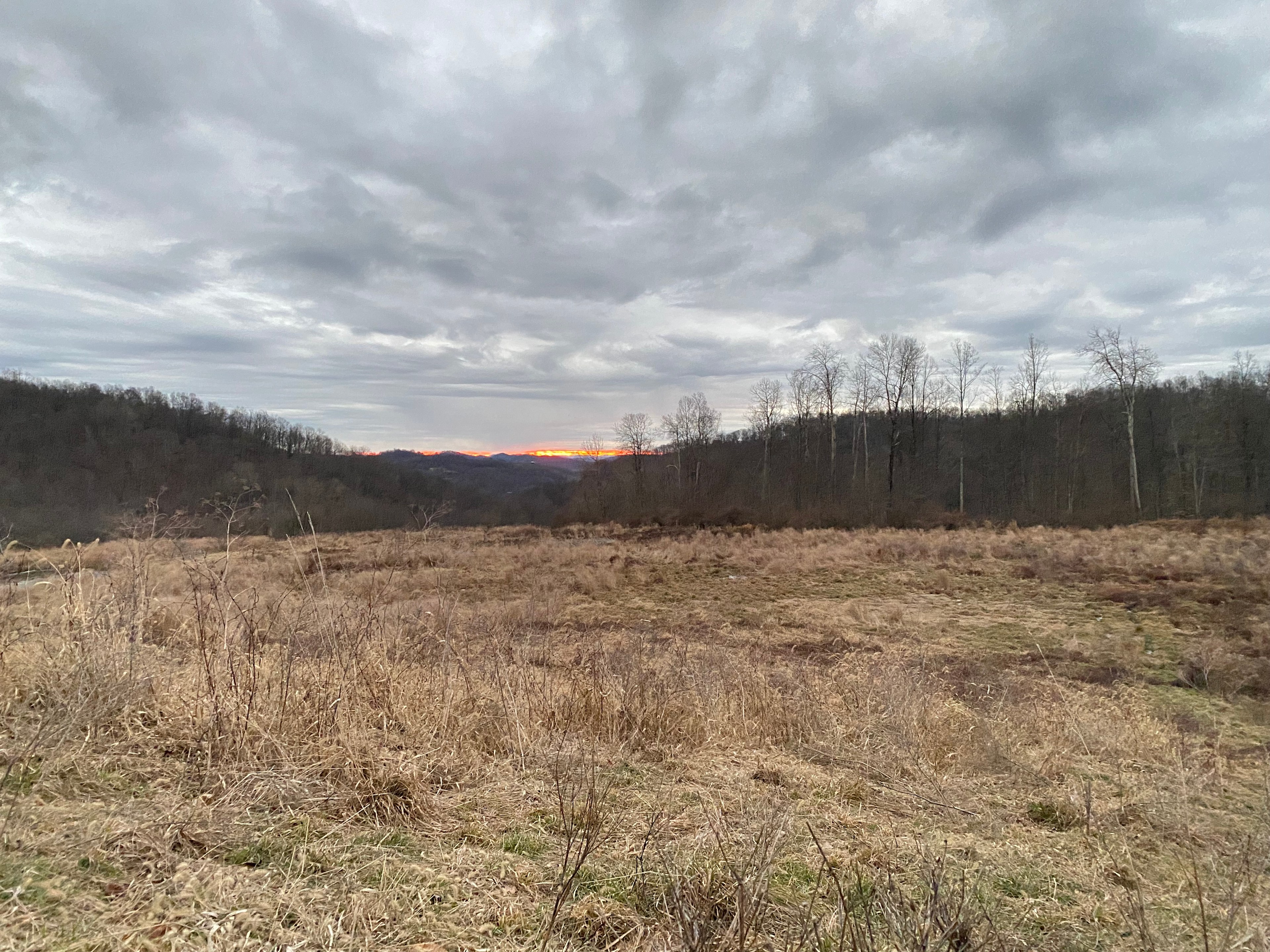 Hawk's Landing